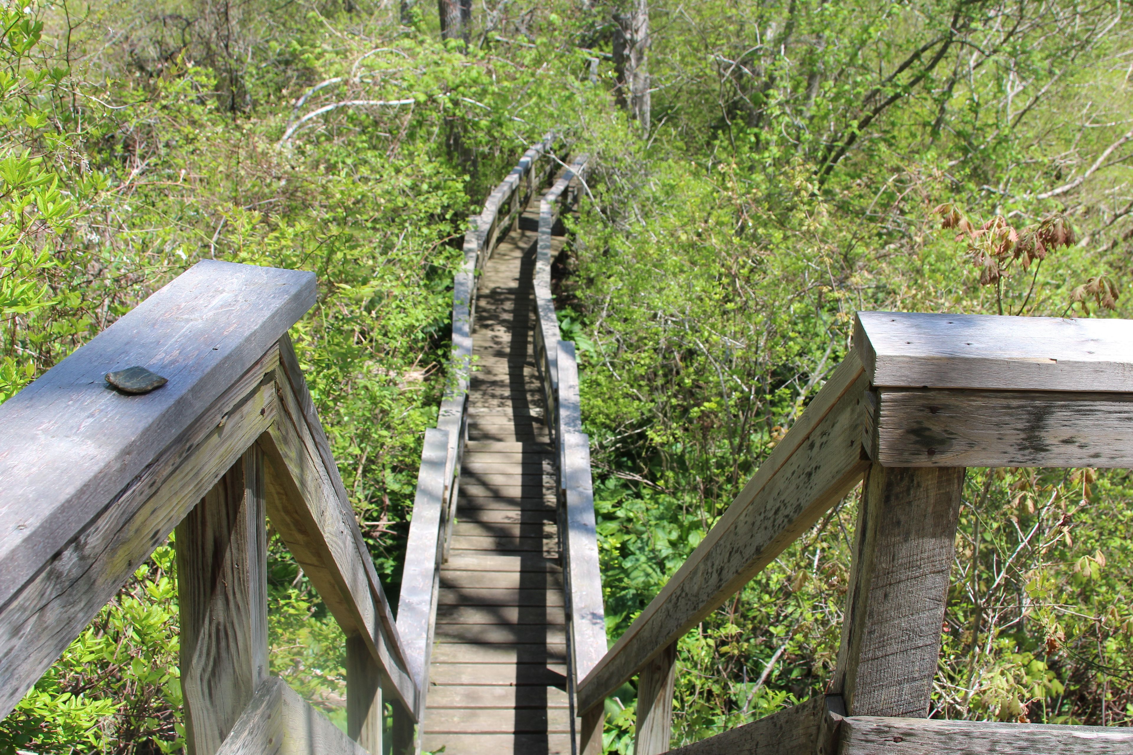 boardwalk