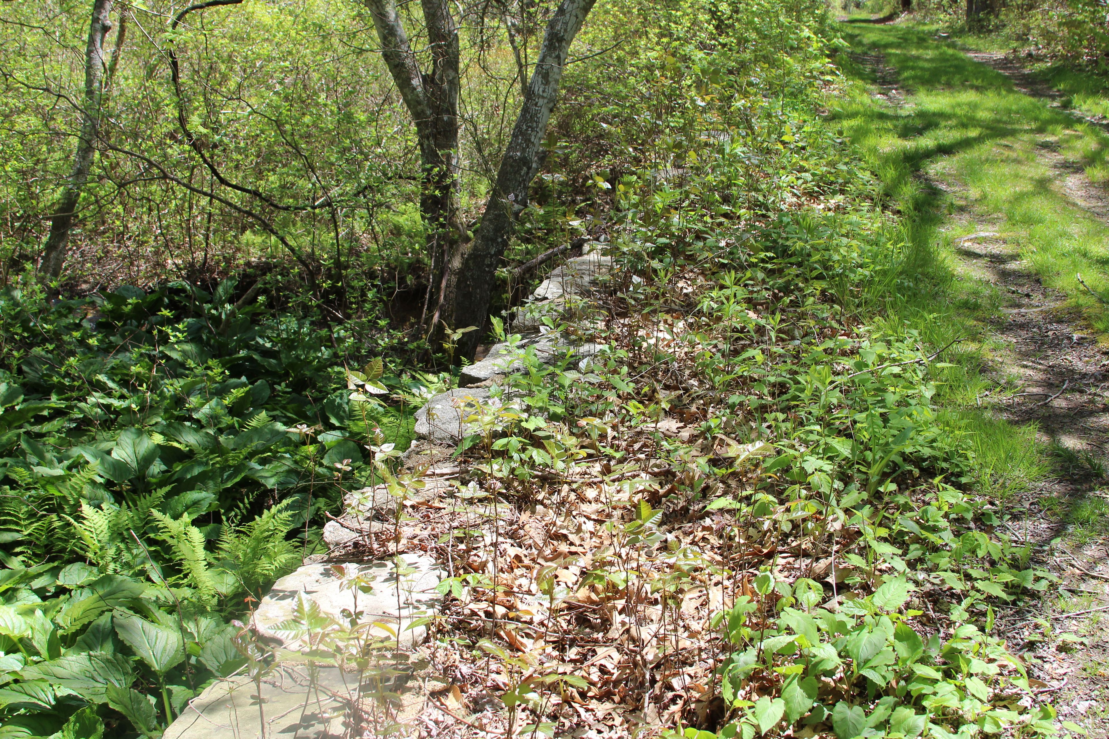 stone bridge