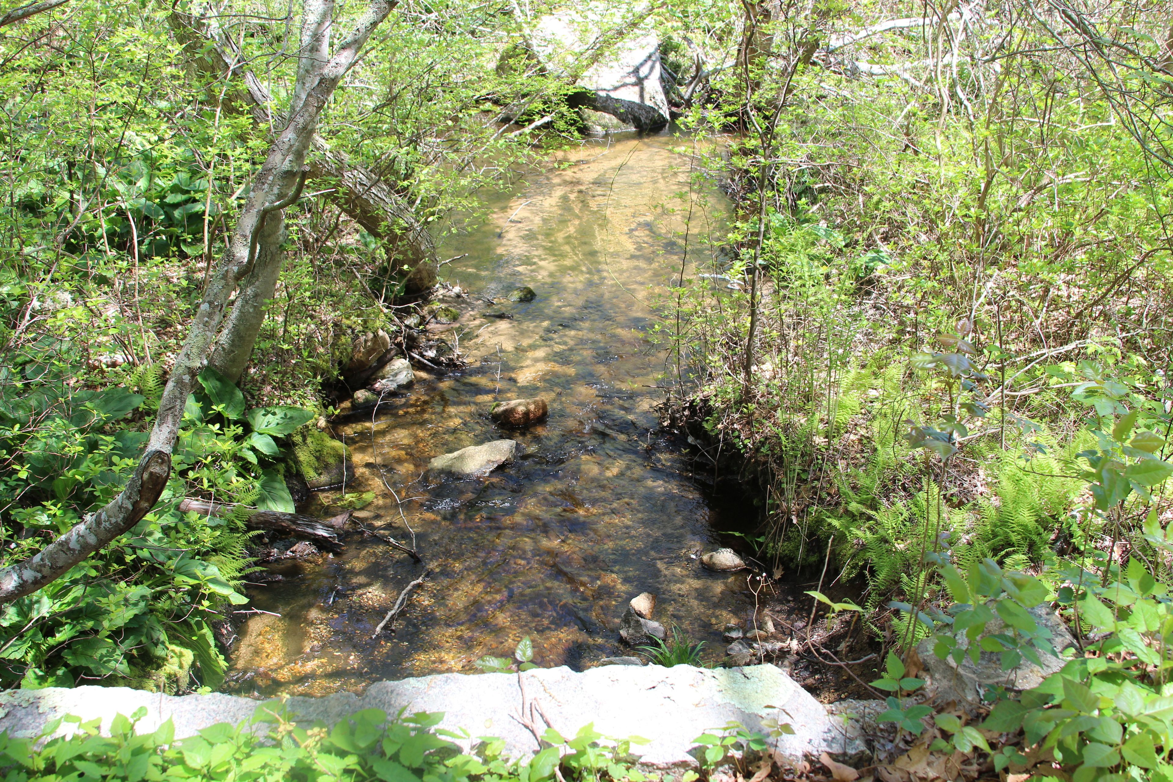 brook at stone bridge