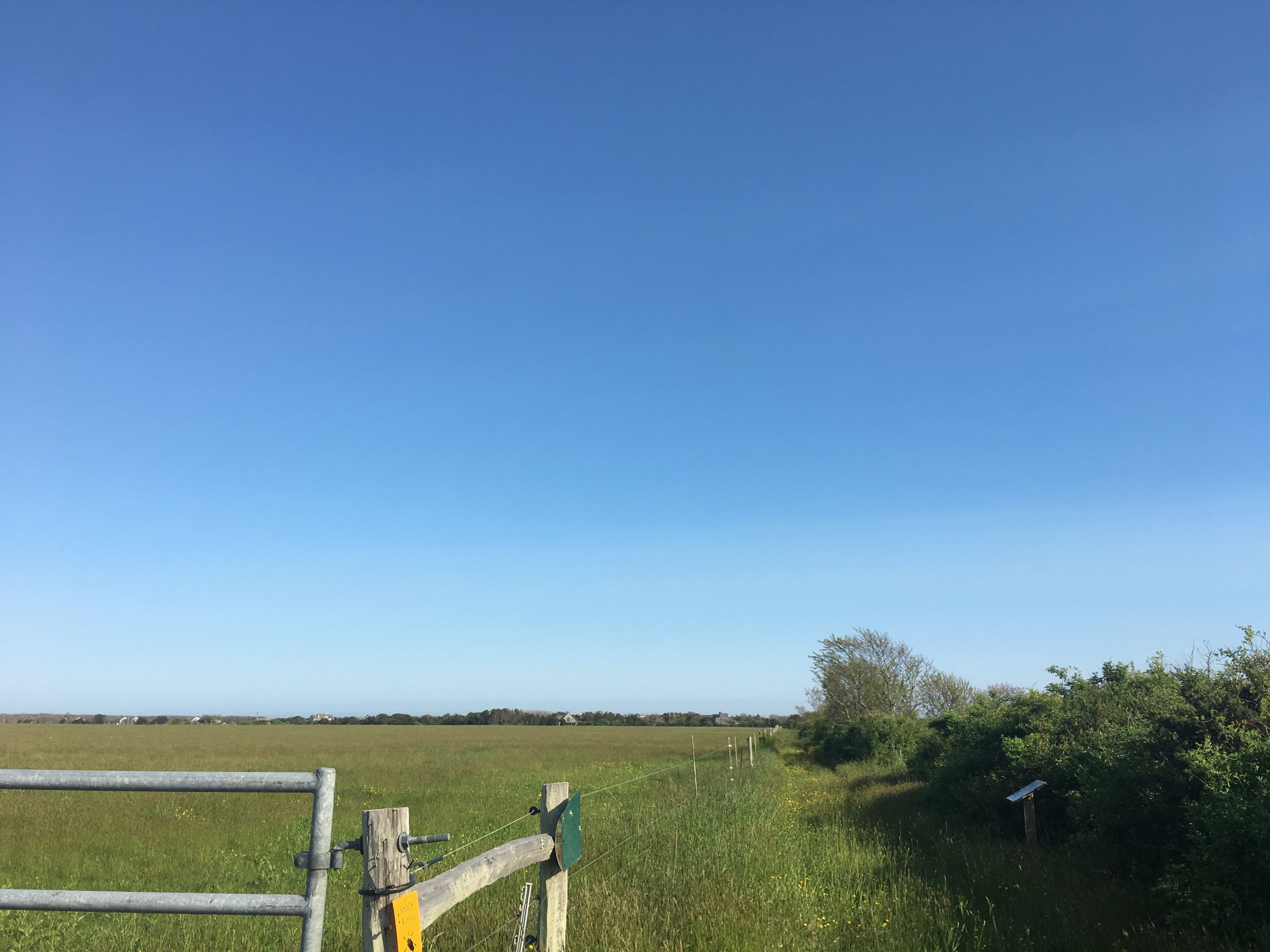 grassy trail