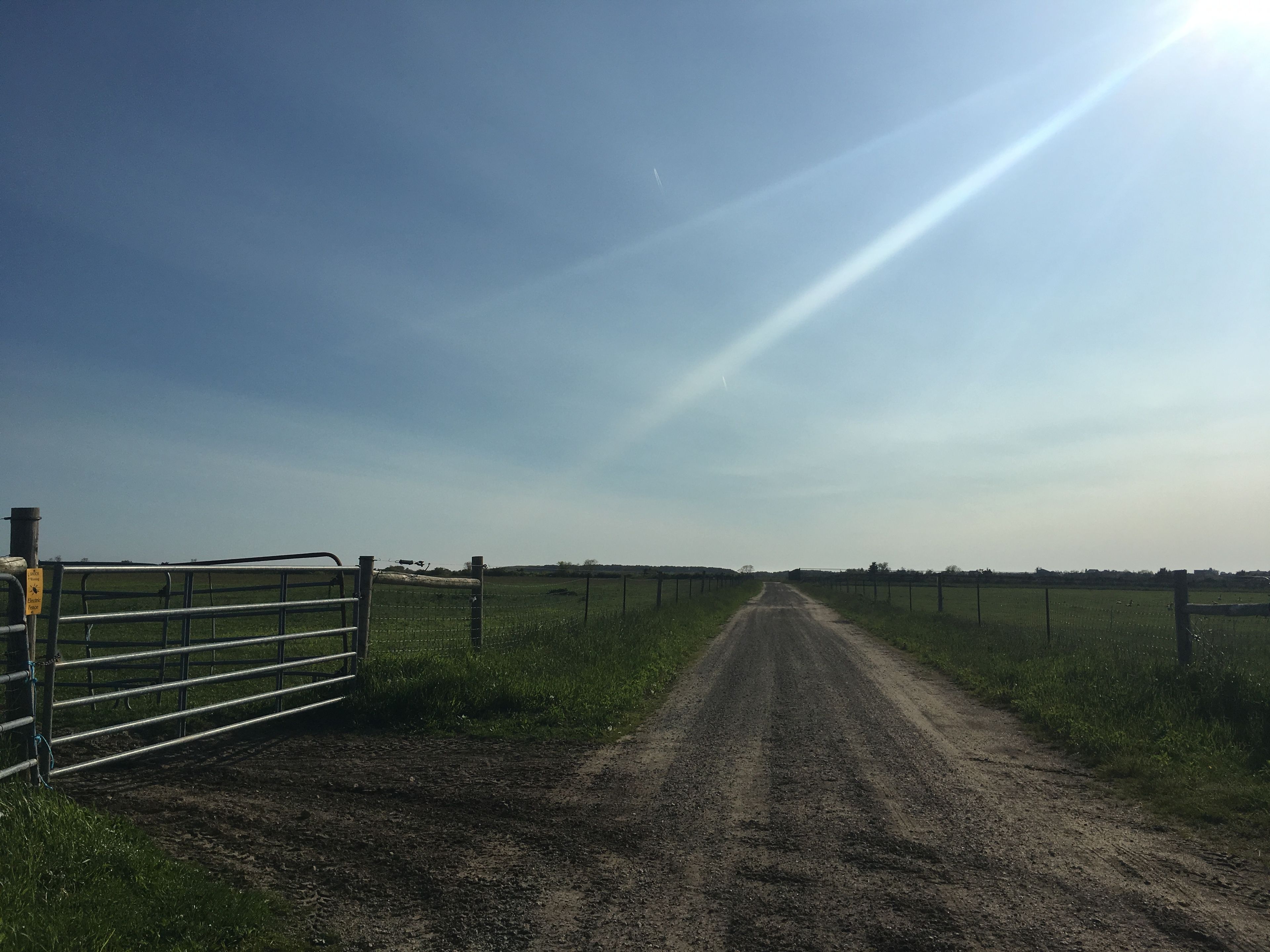 road through fields