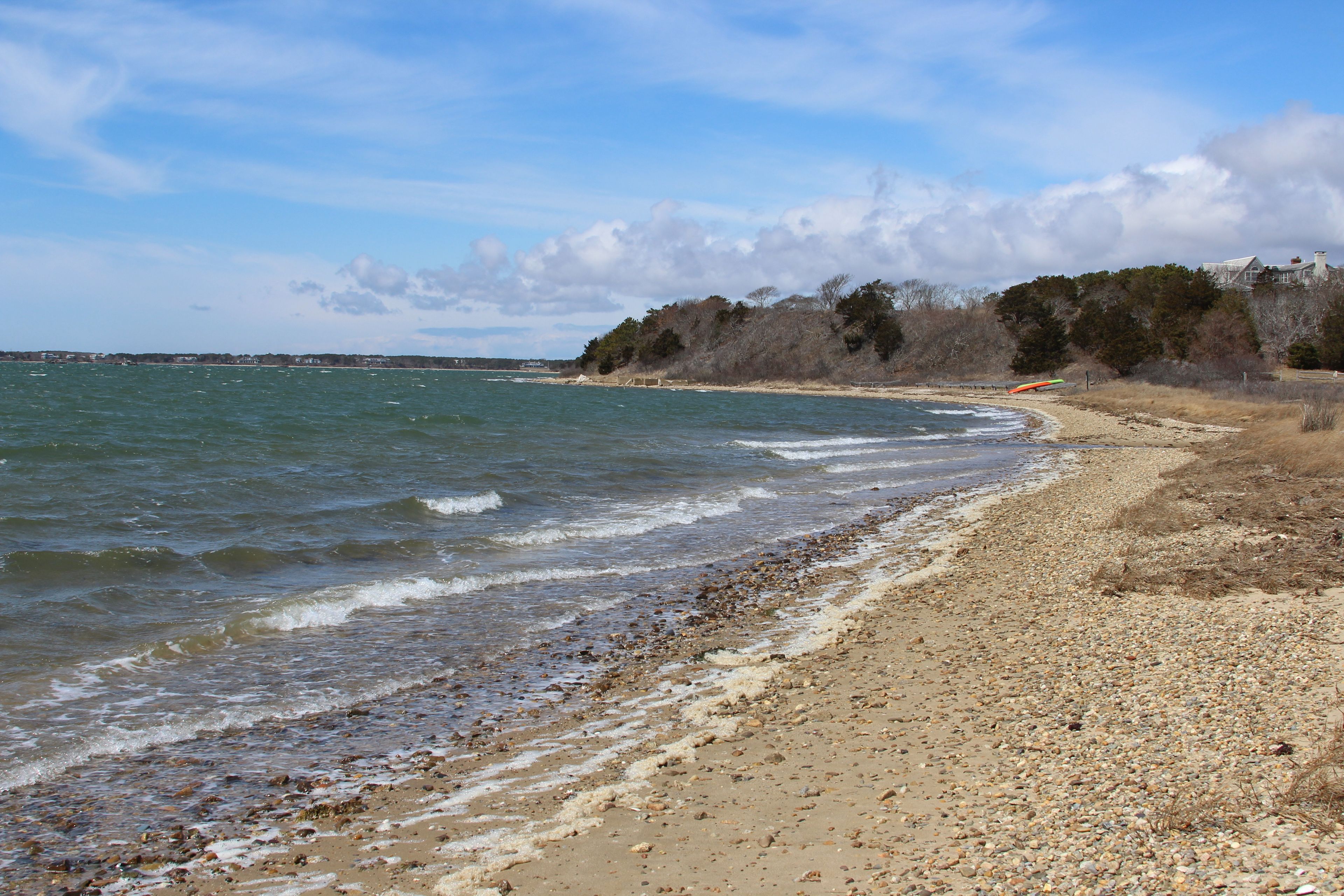 shoreline and view