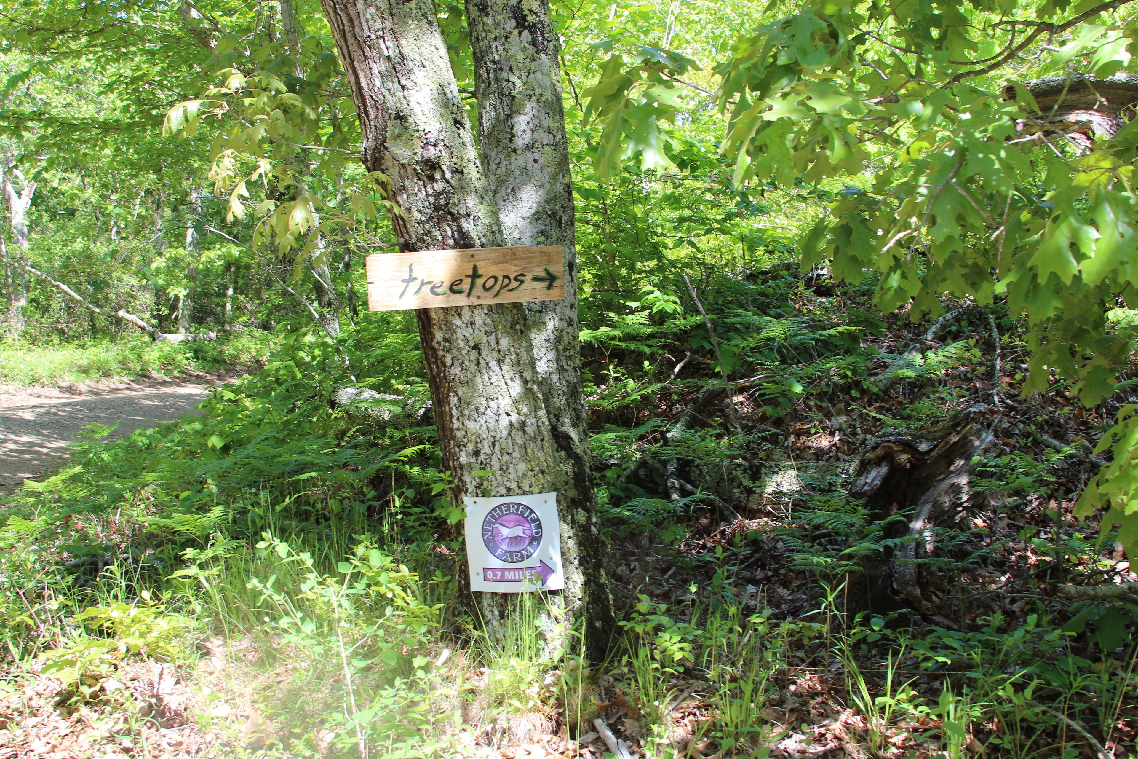 at intersection with Meetinghouse Road