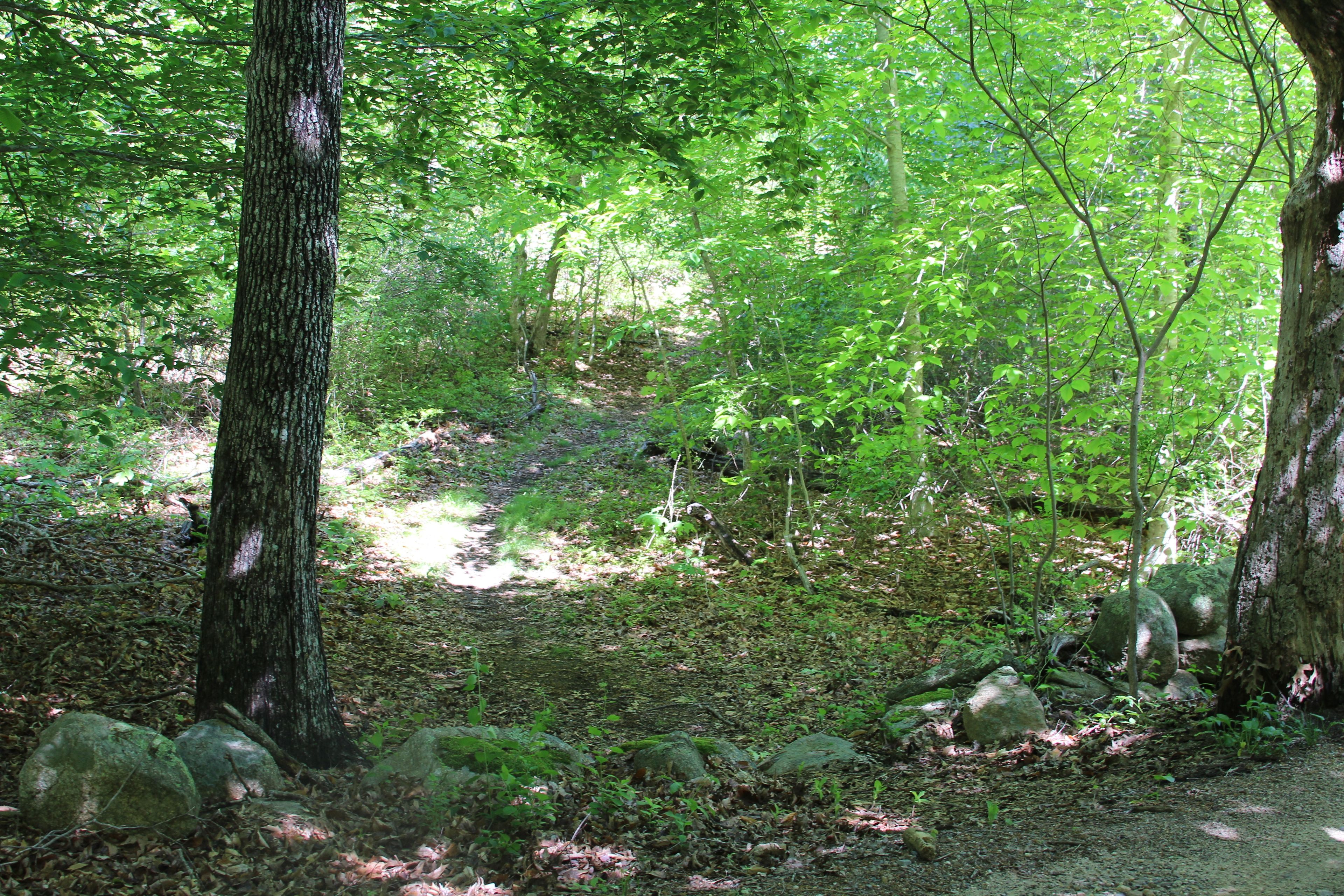 at entrance to North-South trail