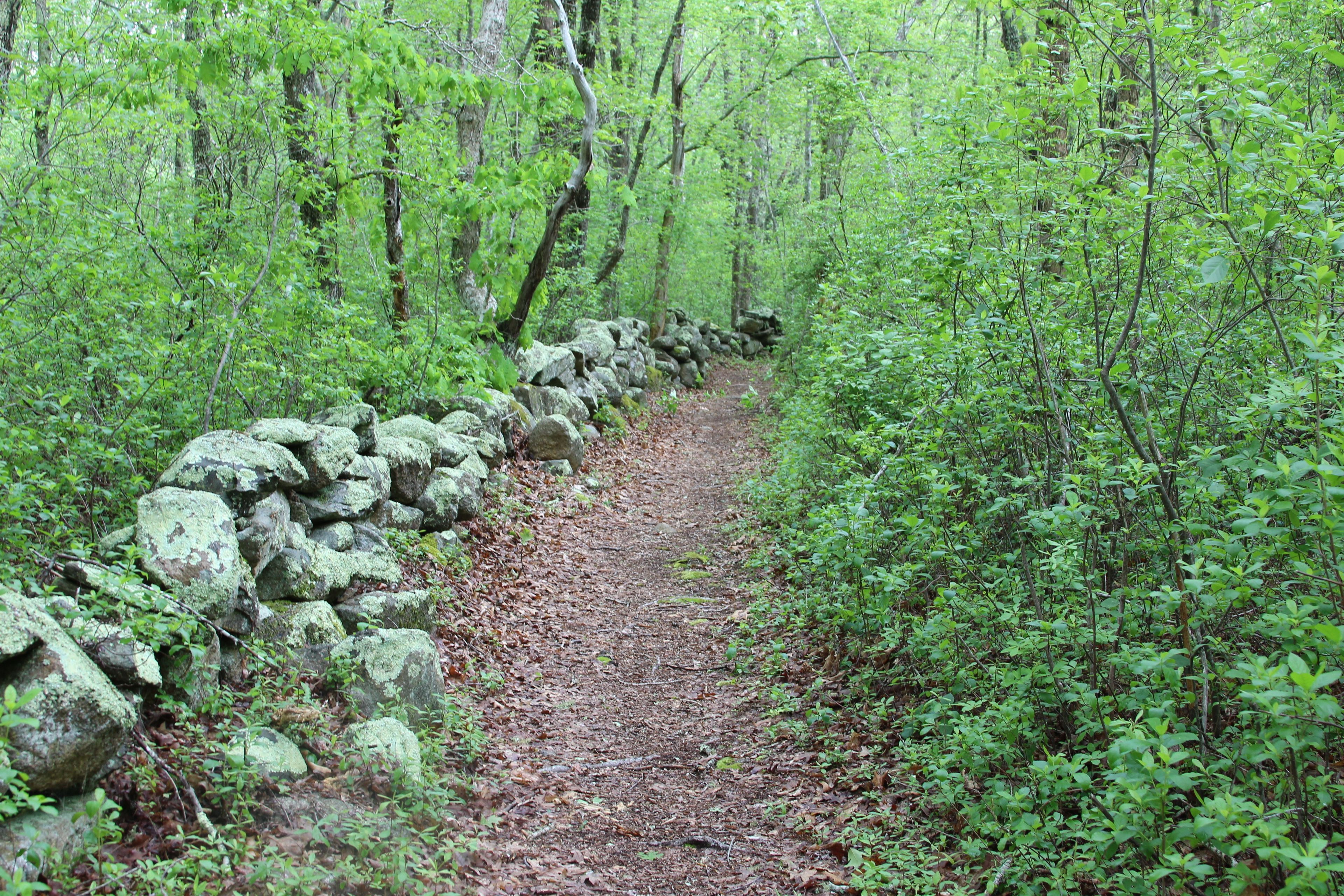 stone walls along edge of trail