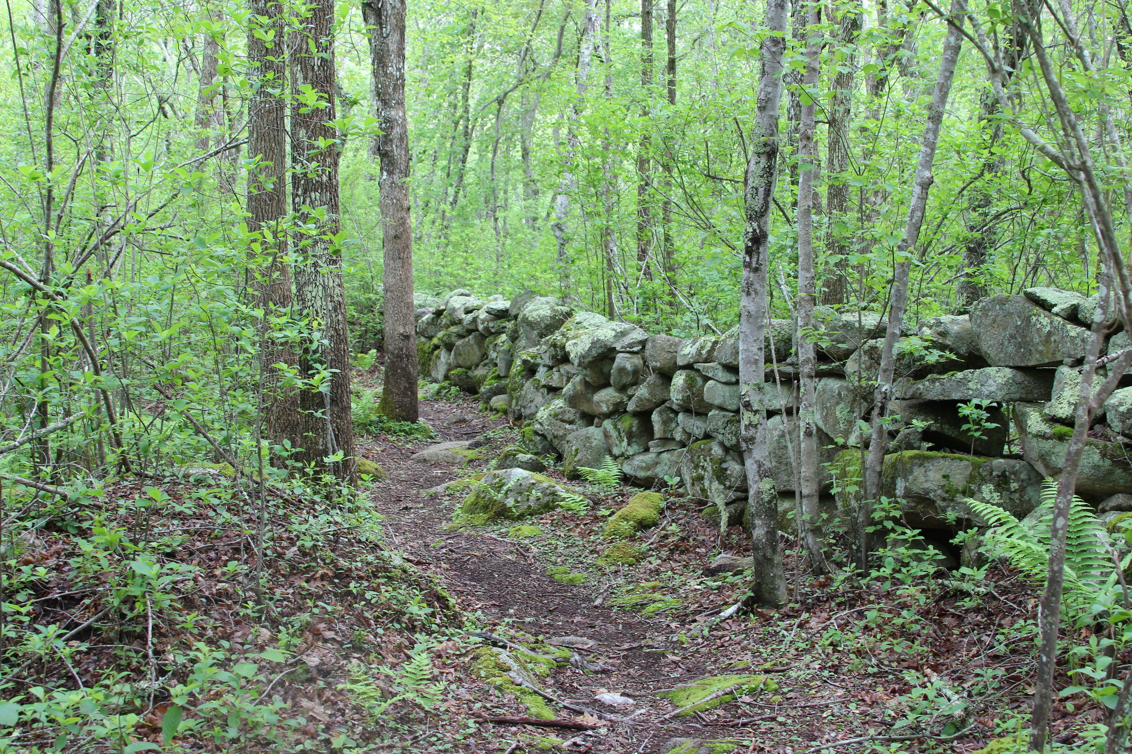 stone walls along trail