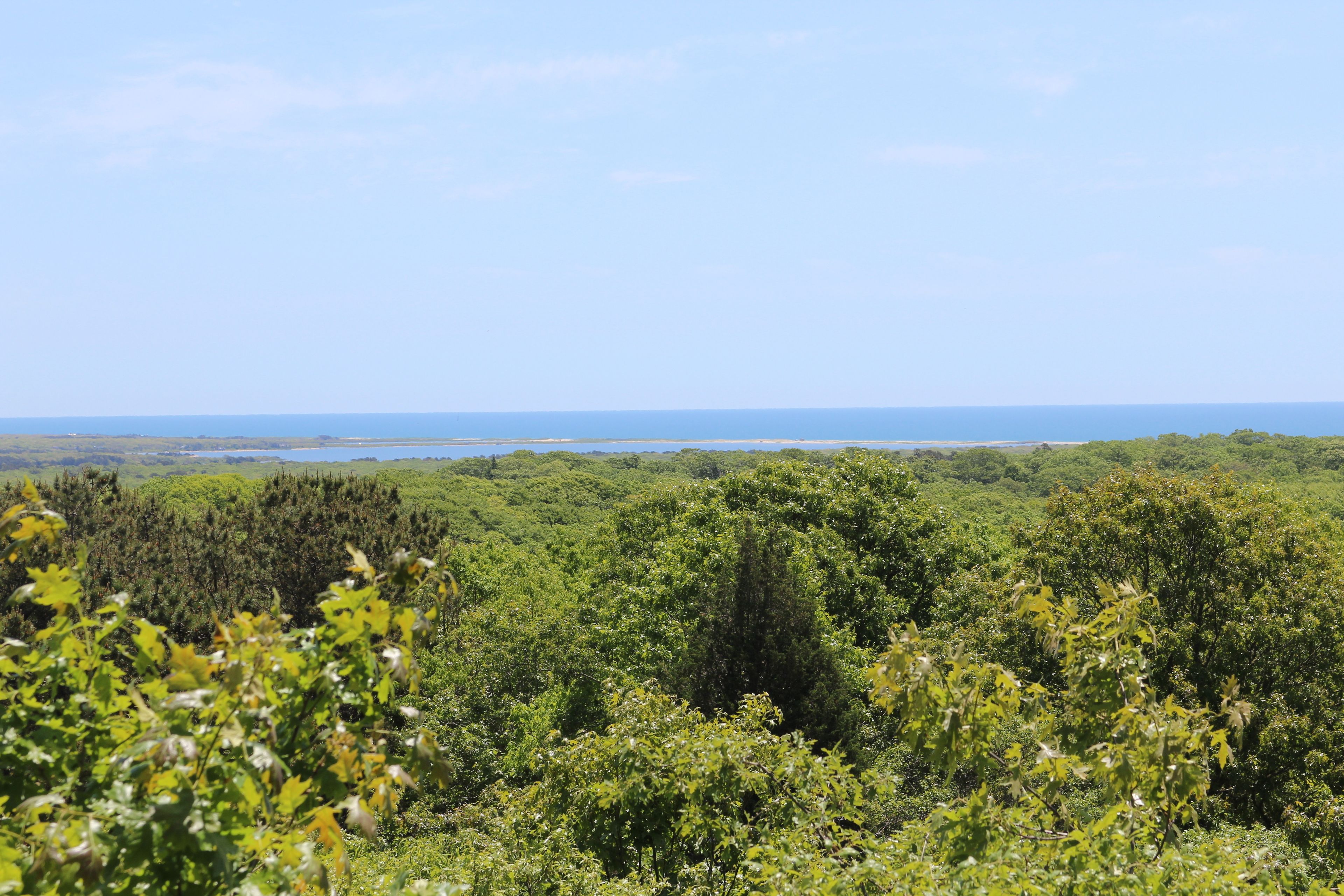 view at top of Loop Trail