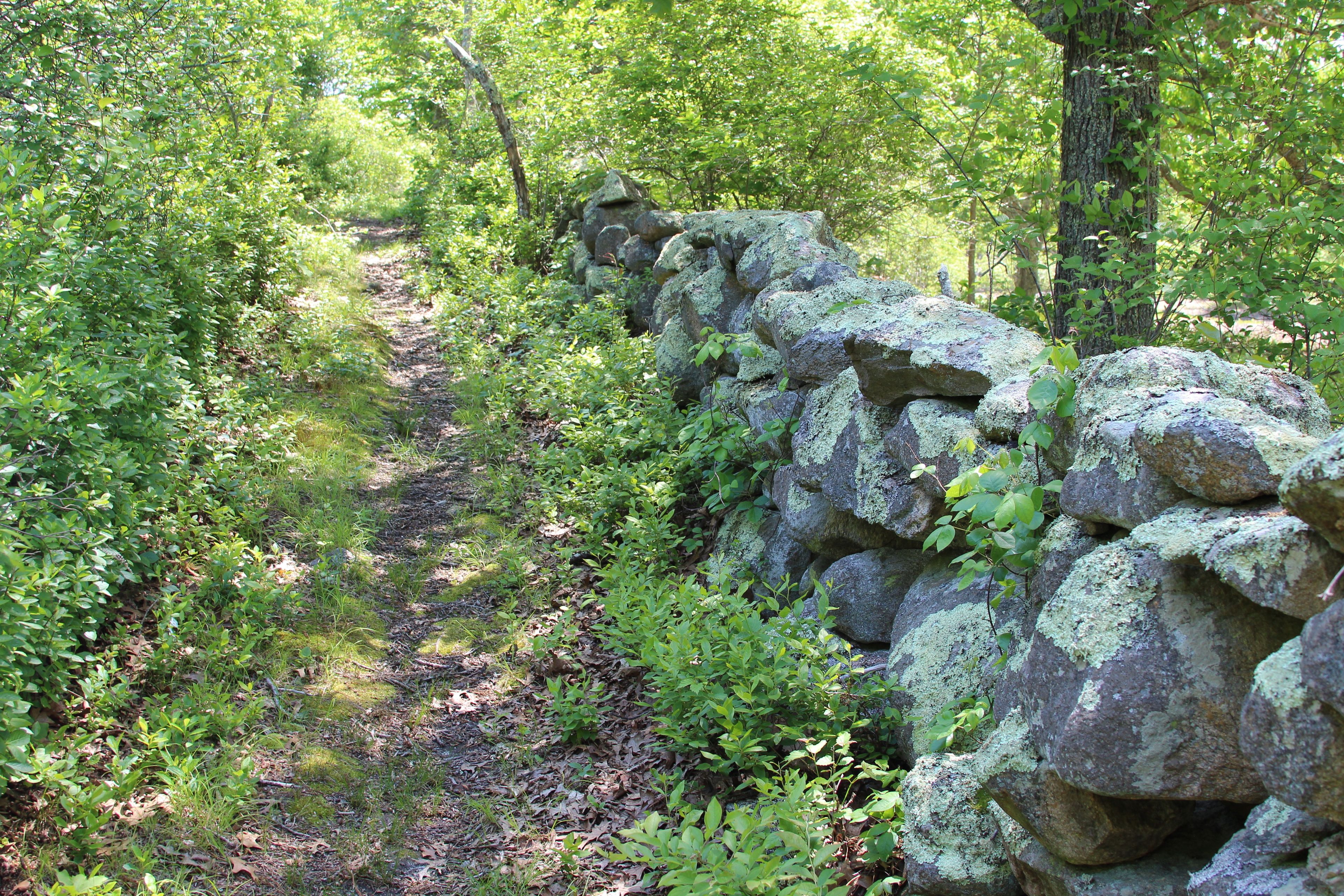 stone wall along portion of trail