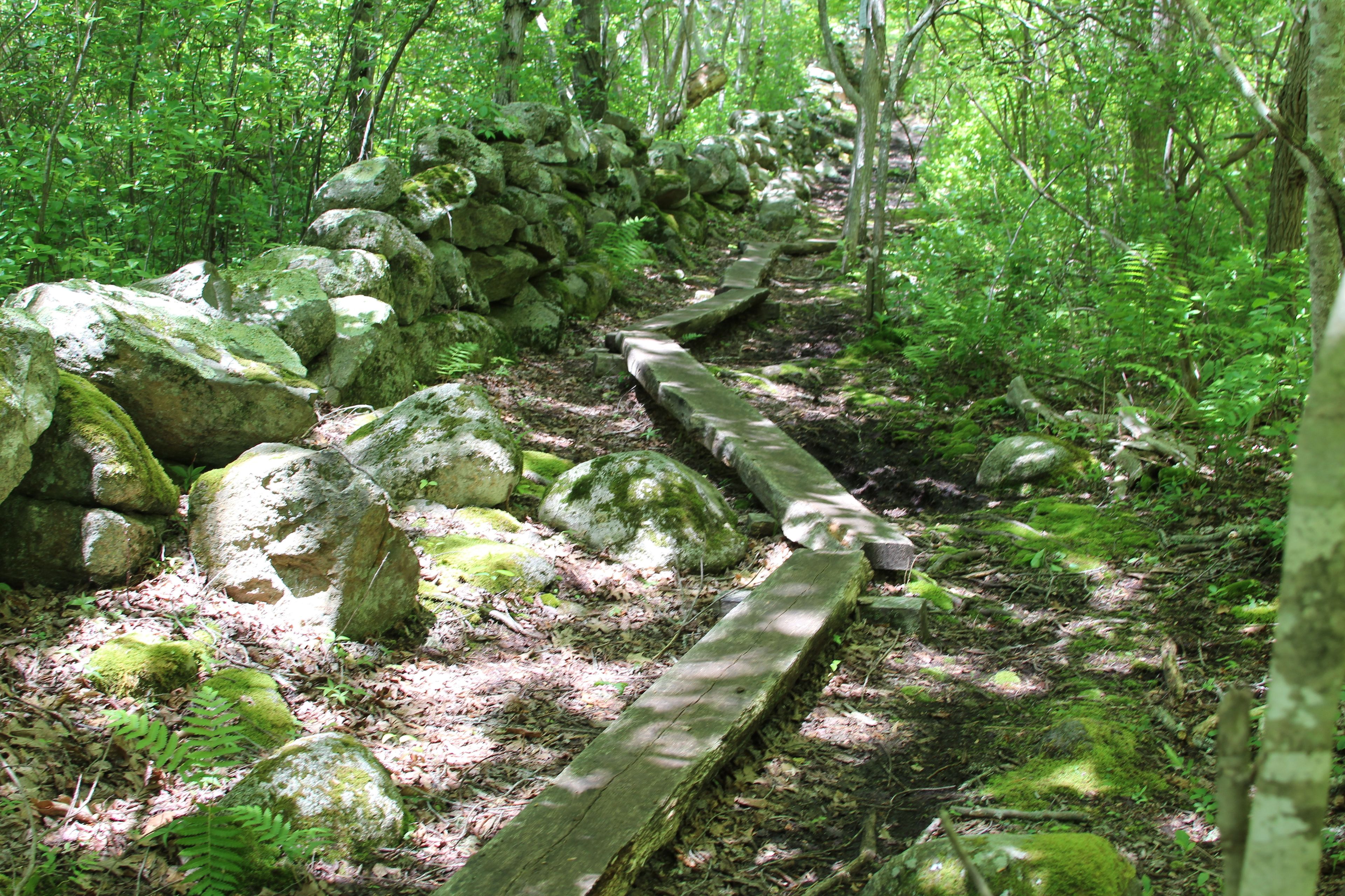 wood planks and mucky in one area