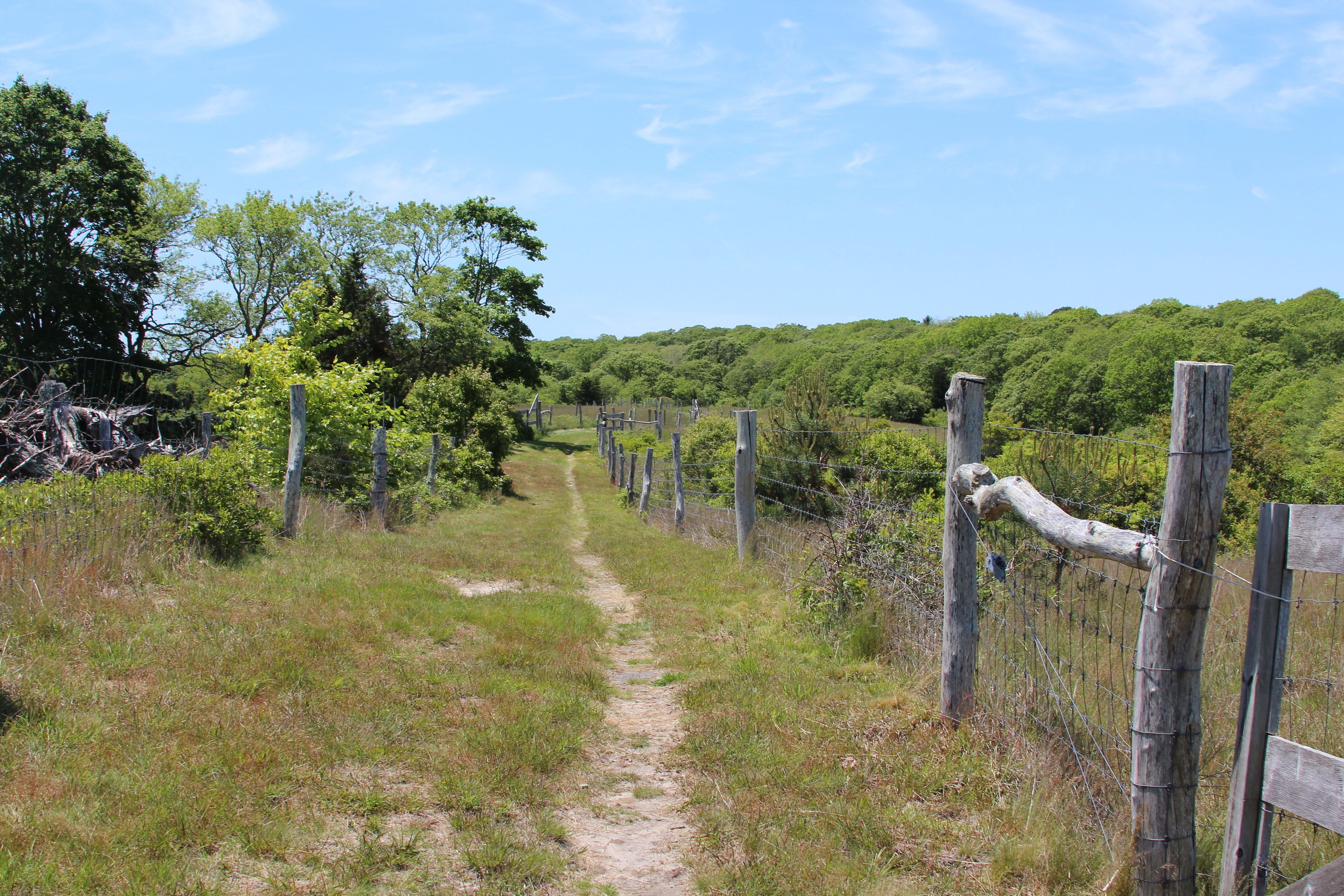 along top of Tea Lane Farm