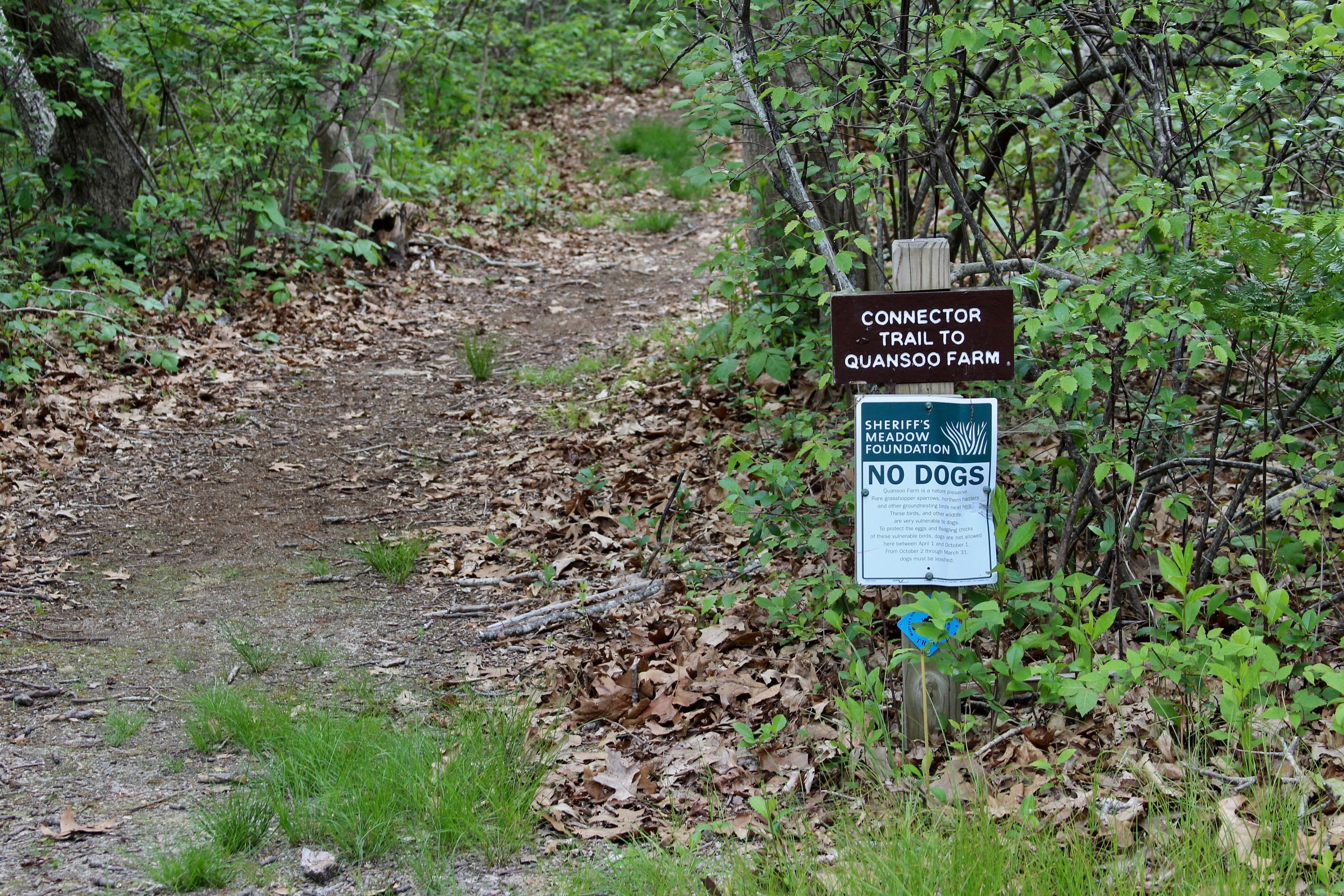 sign at Quansoo Road crossing