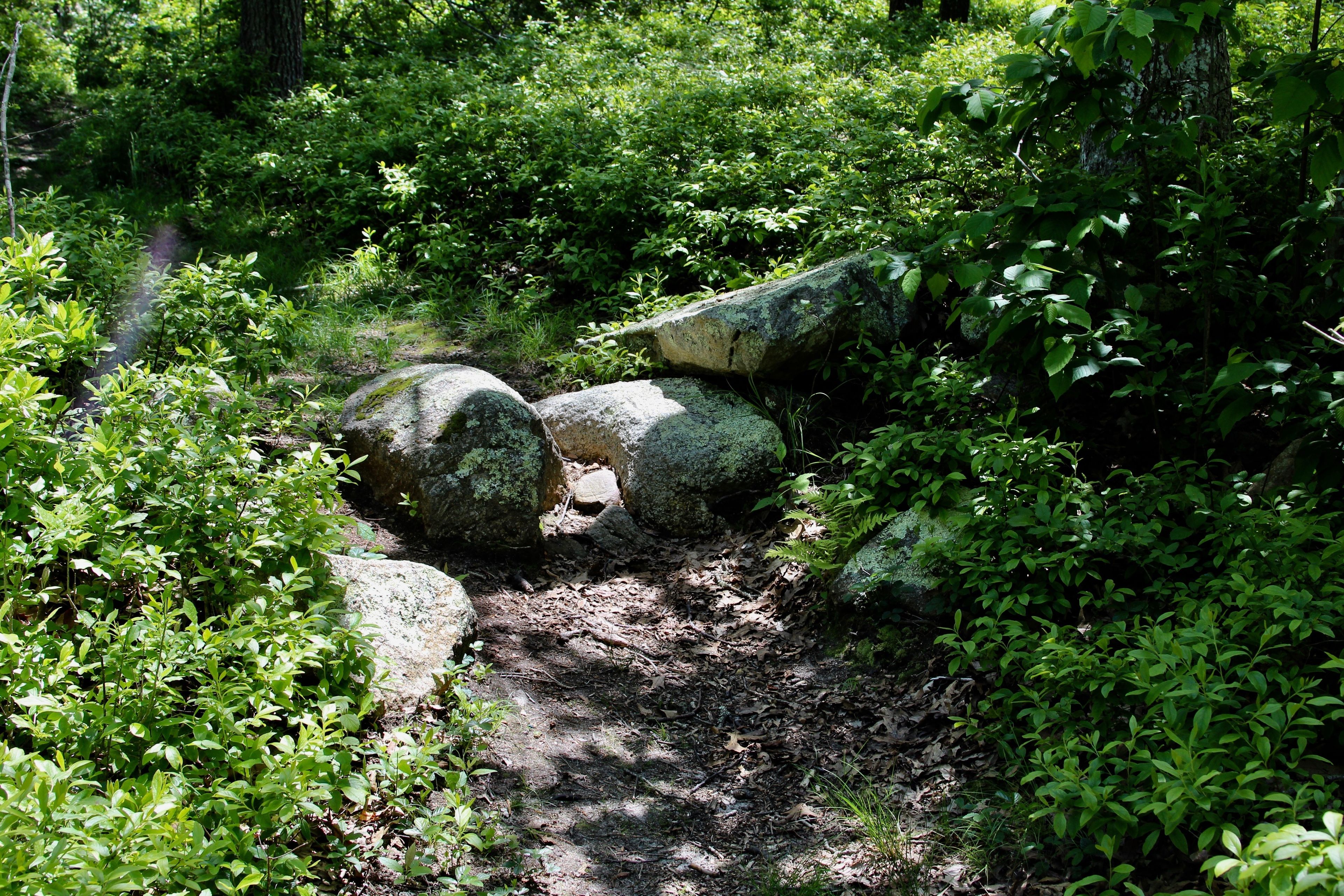 rocks along trail