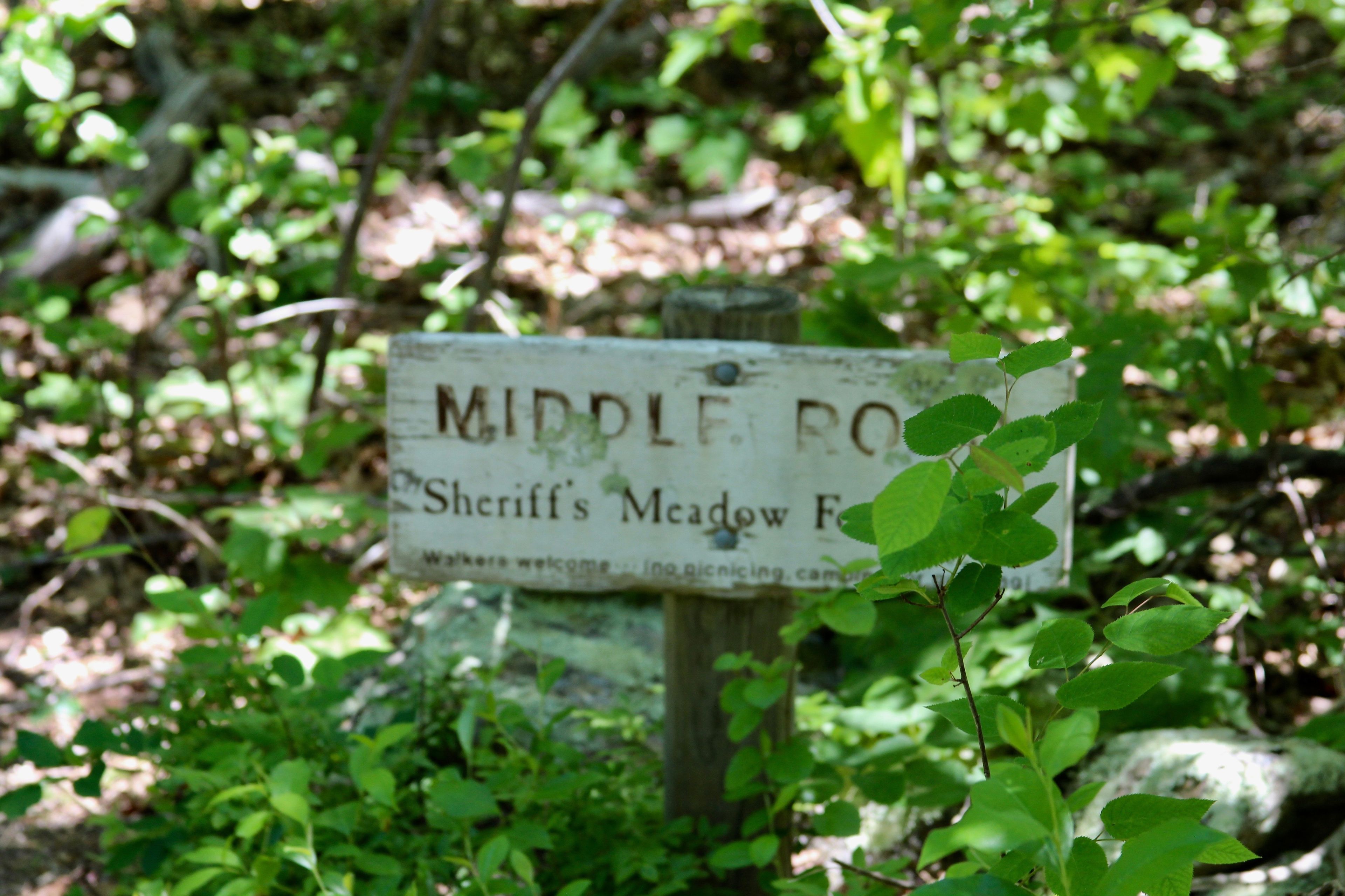 sign at Middle Road