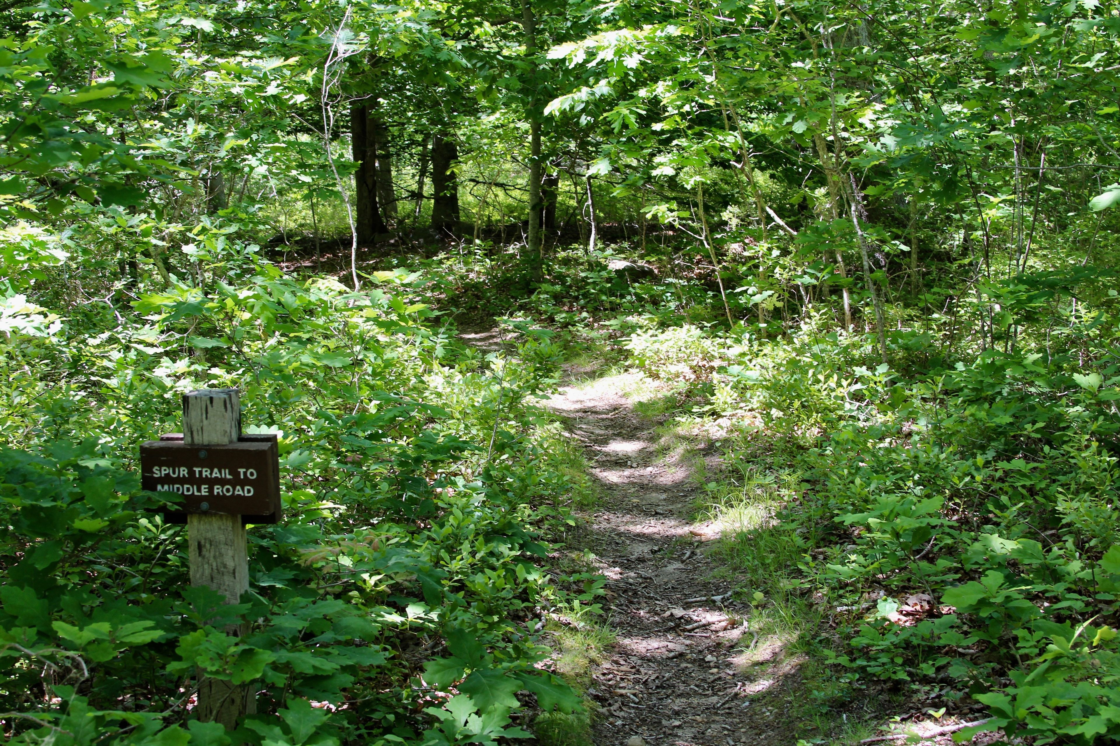 intersection with Red Trail