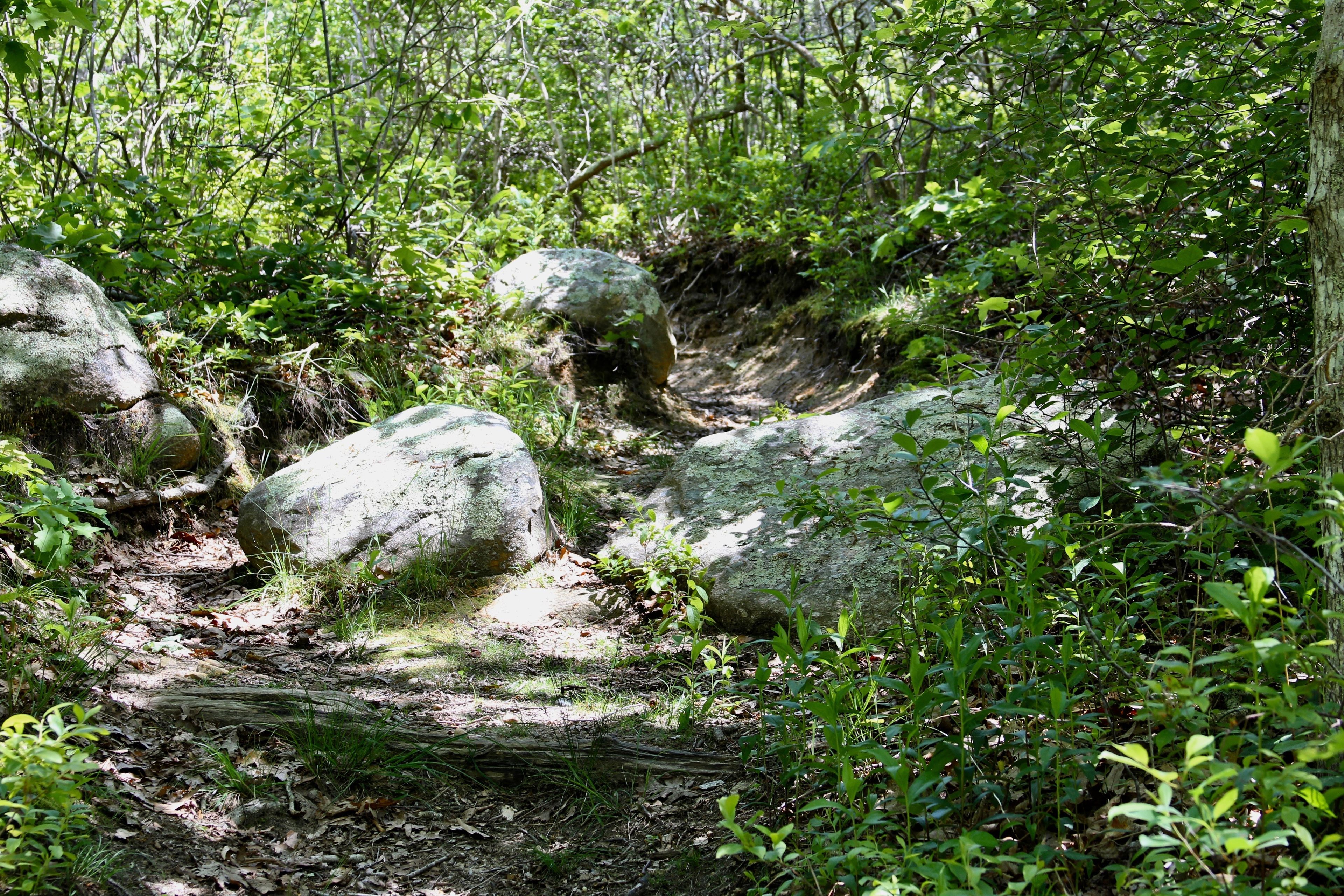 rocks along trail