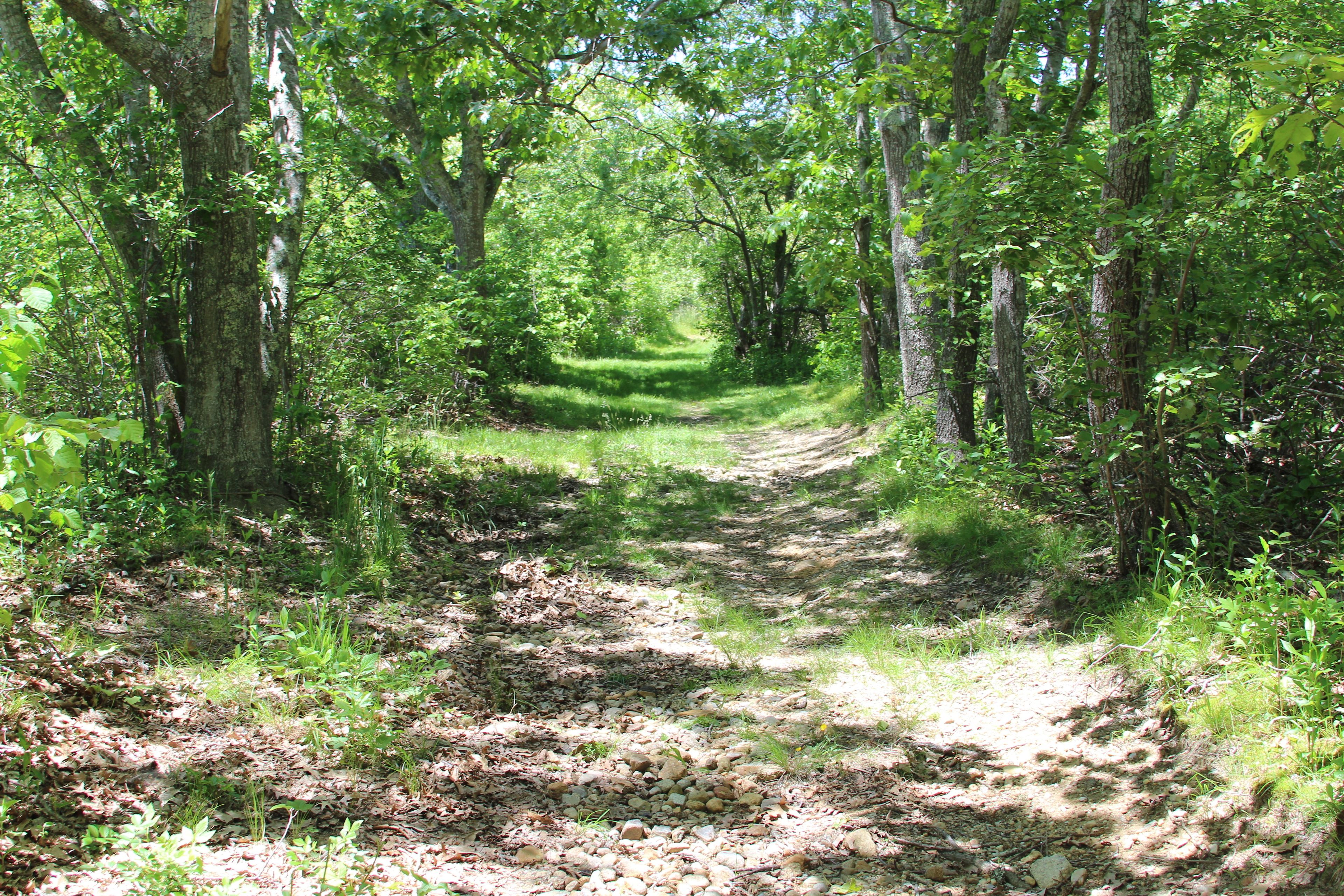 trail easement