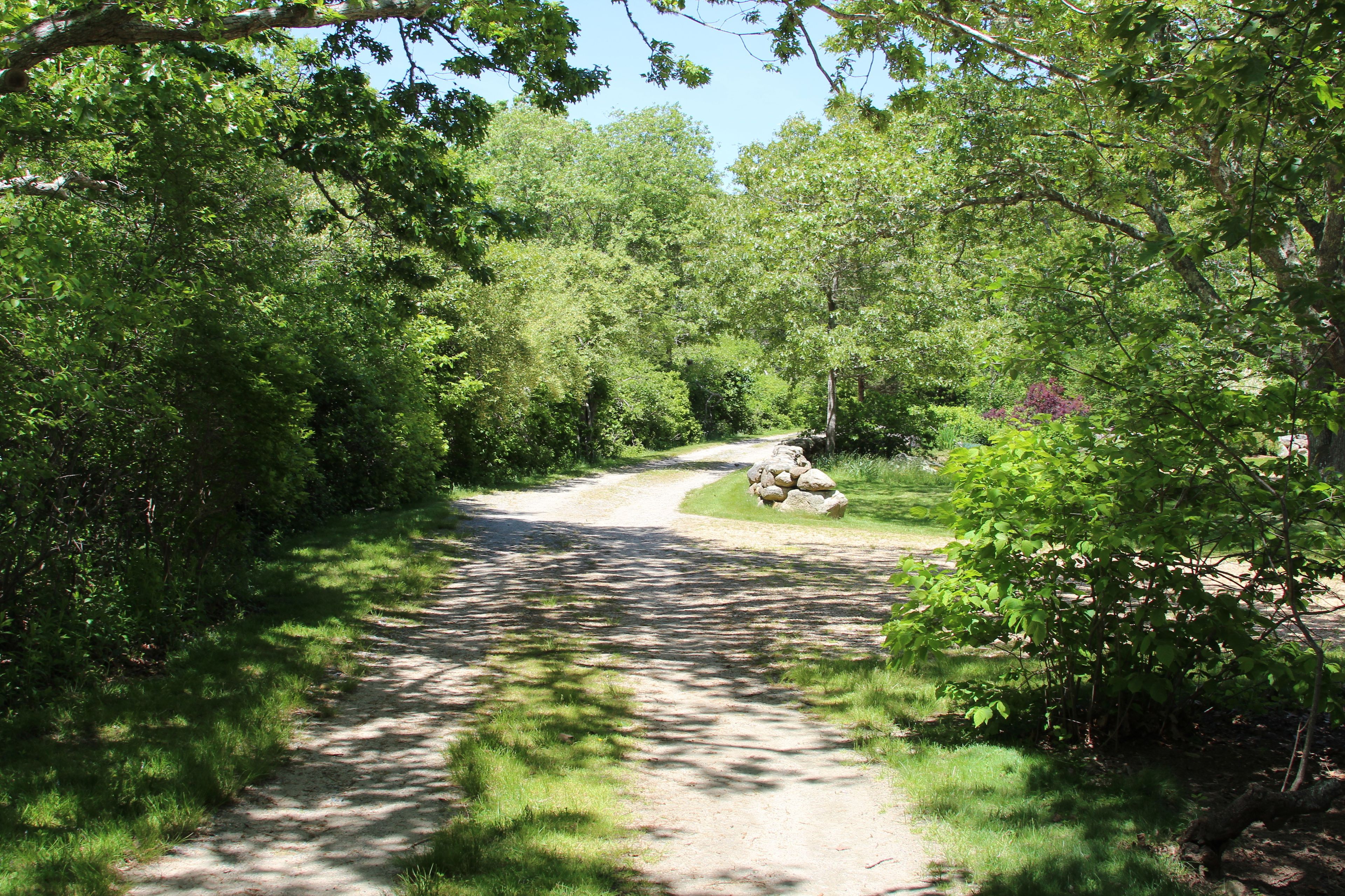 Treetop Lane