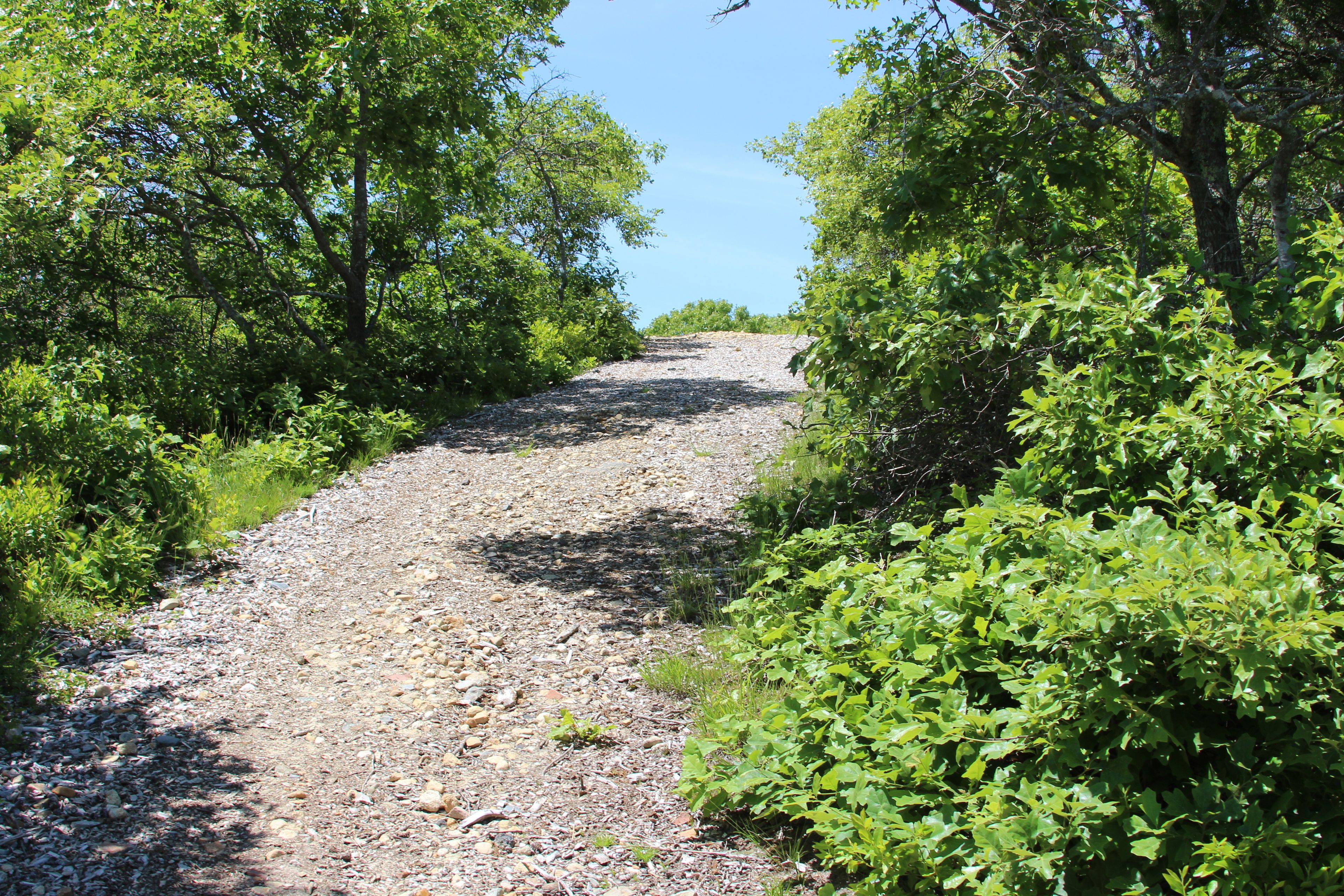 going up towards field 