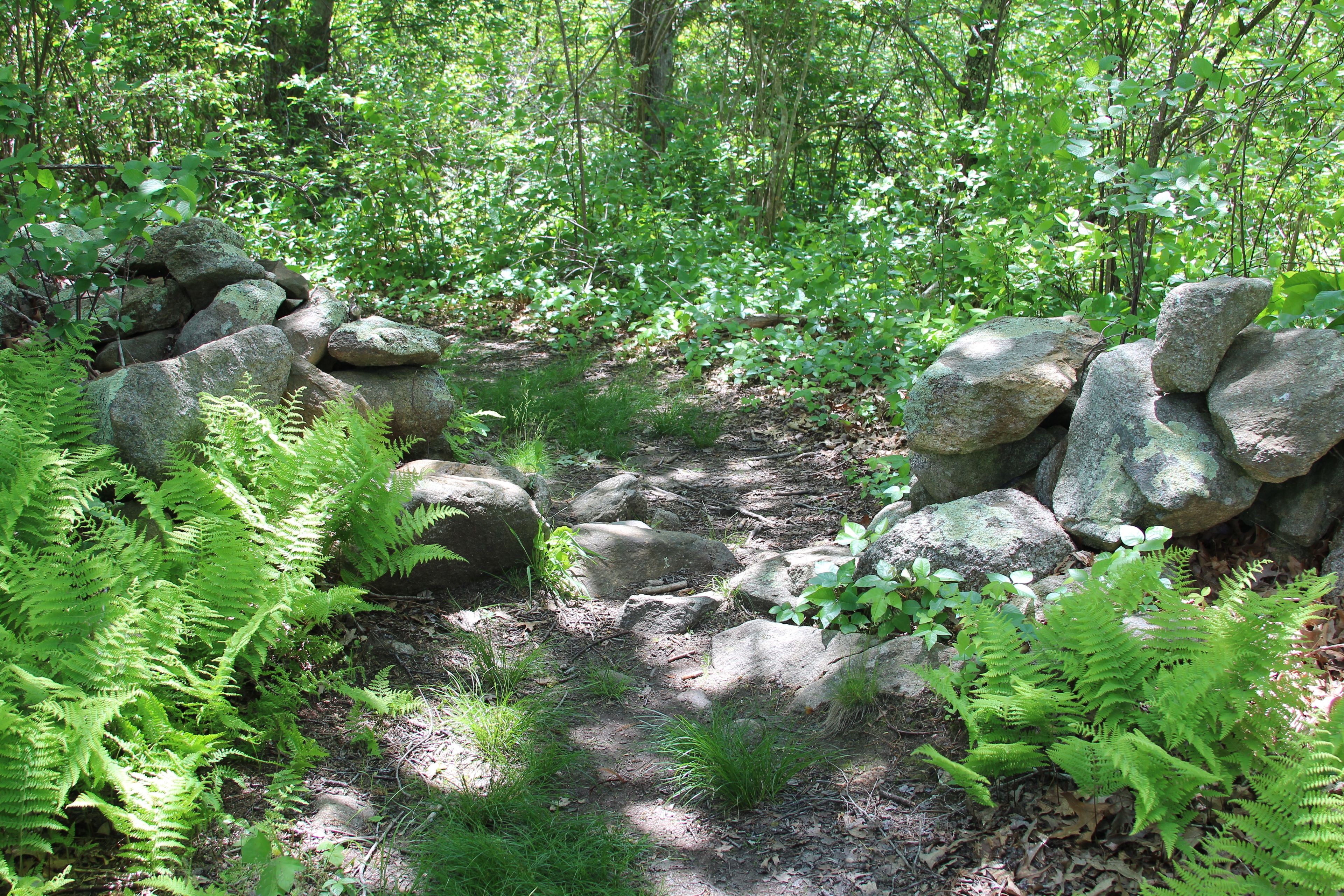 rocks along trail