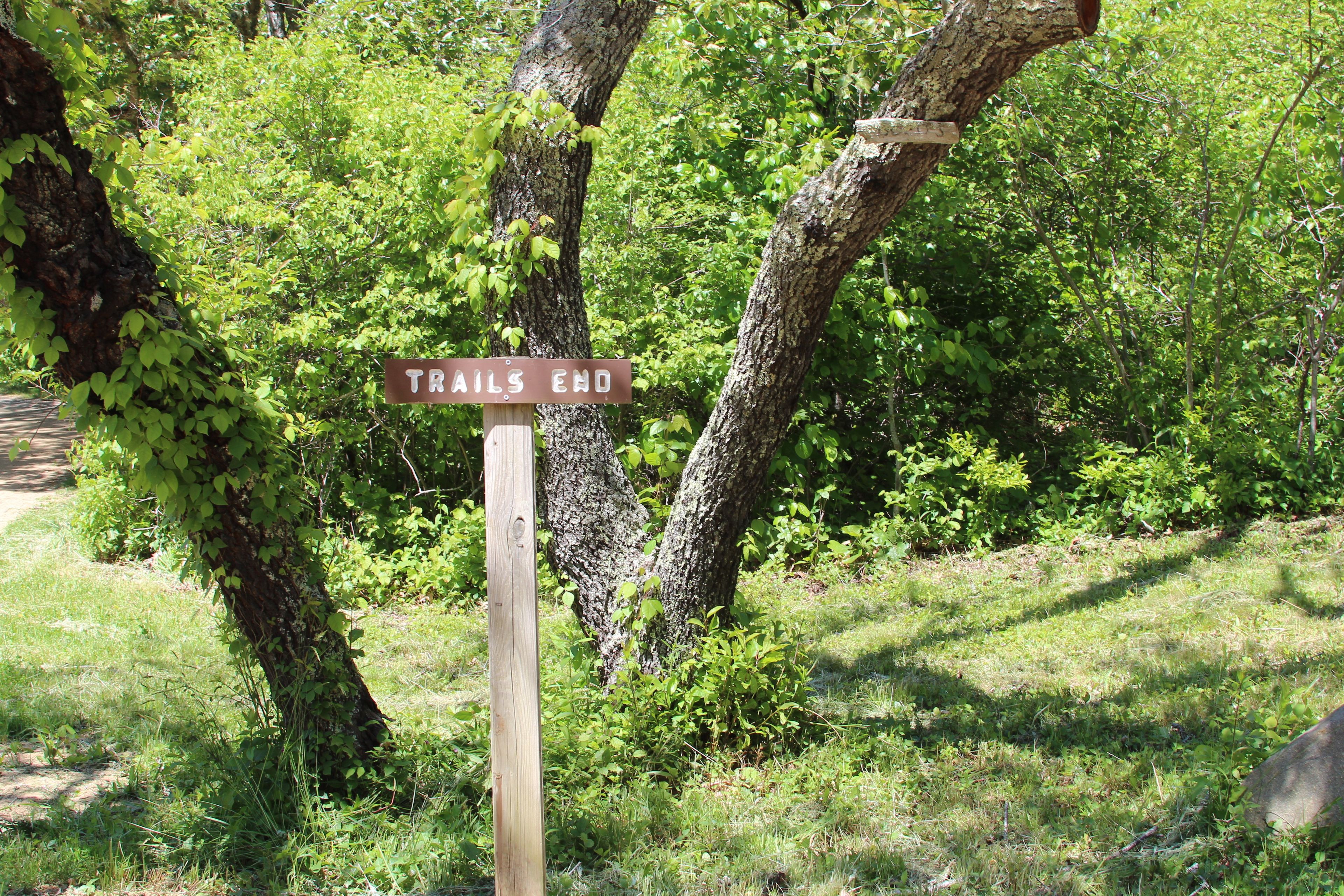 sign at Ocean View Farm Road