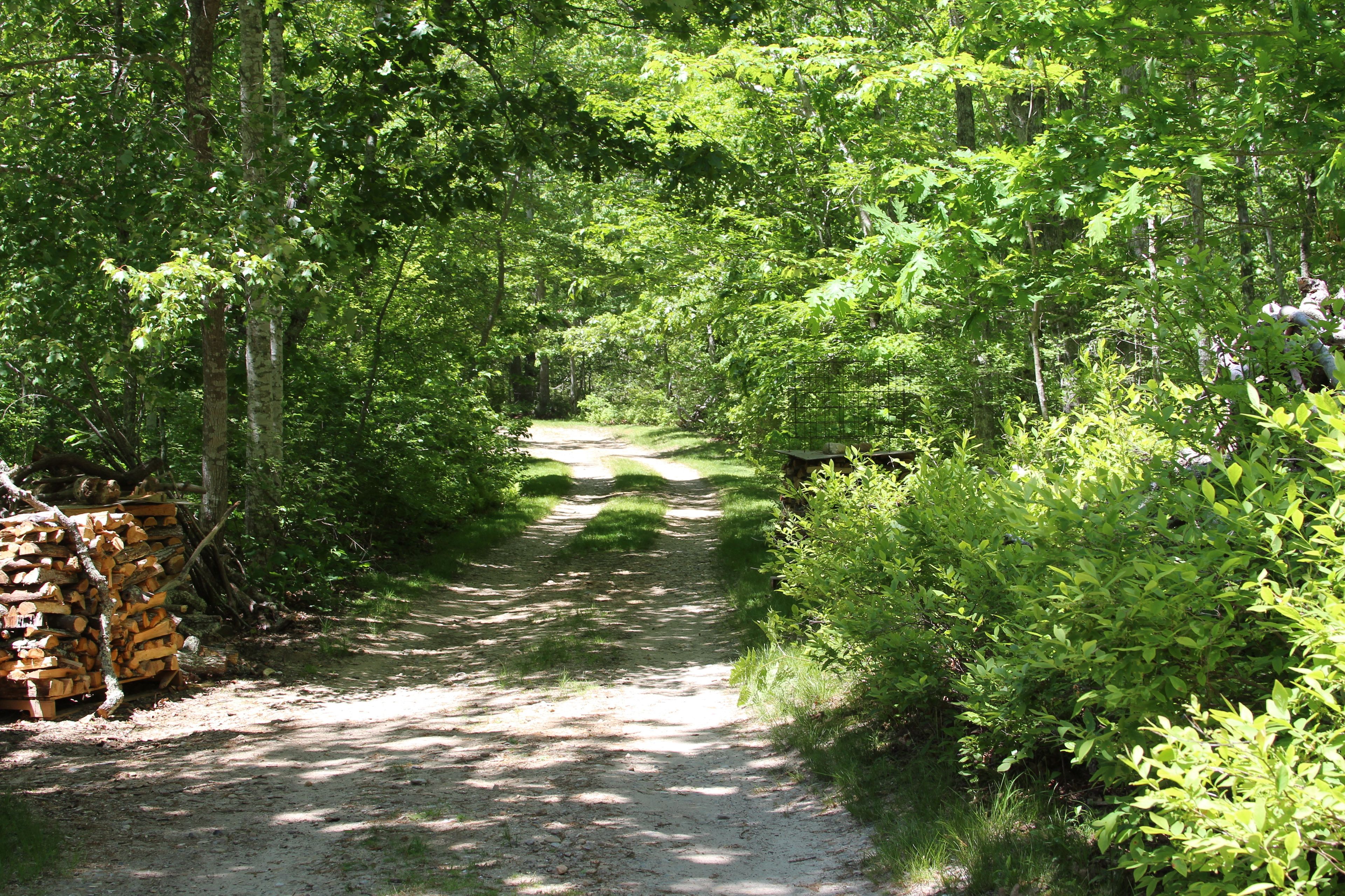 dirt road