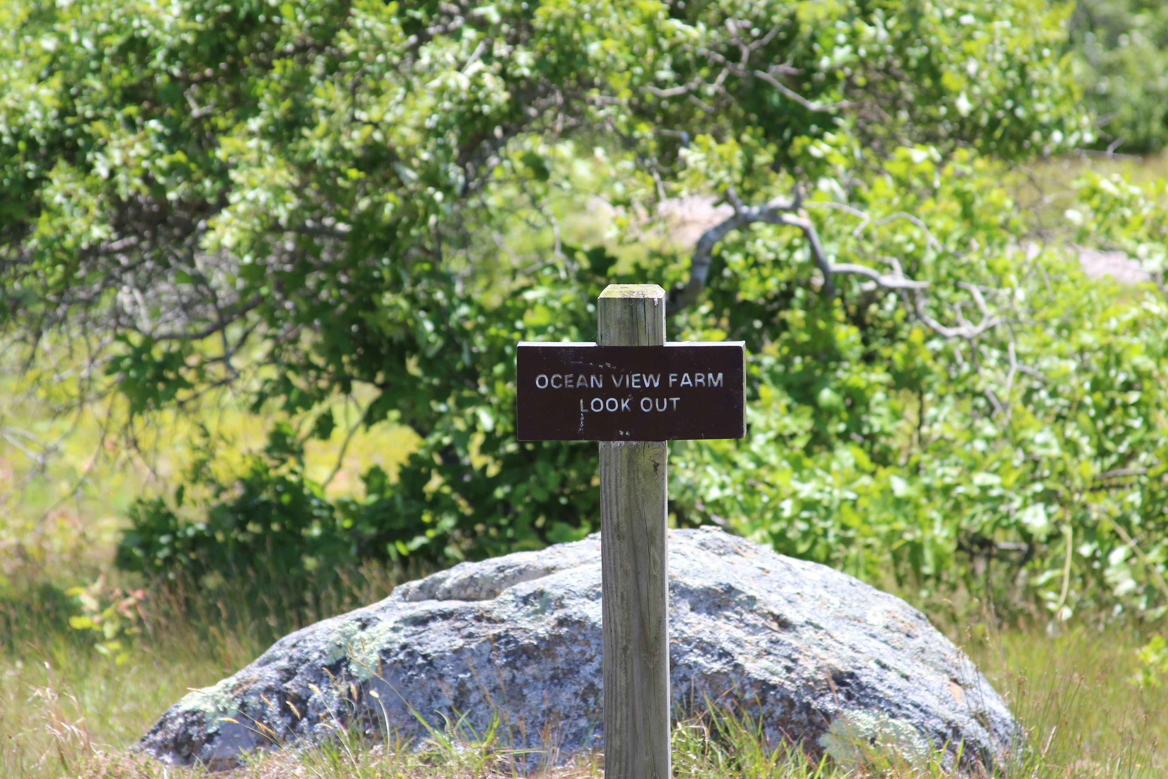 lookout point