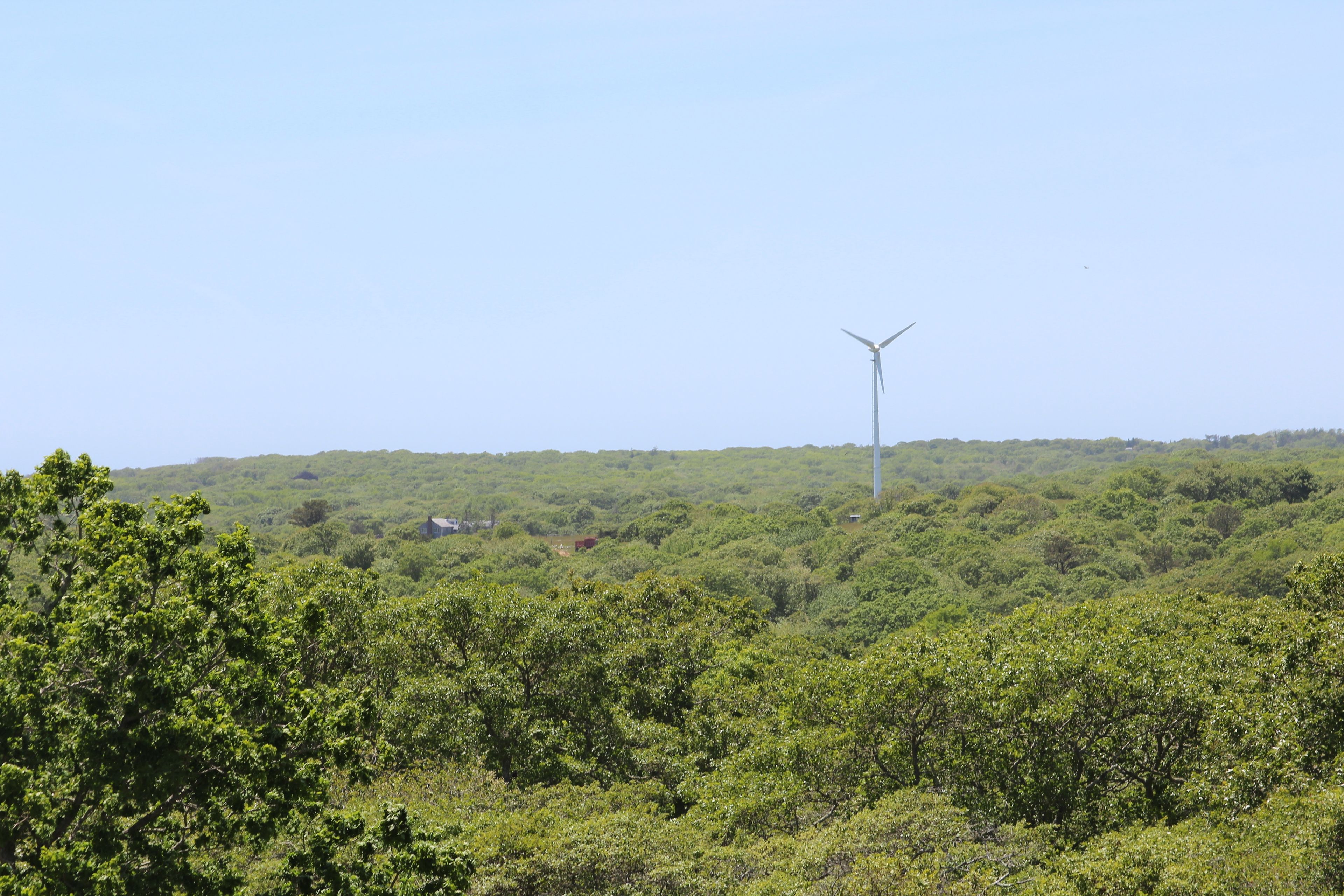 Allen Farm turbine in distance