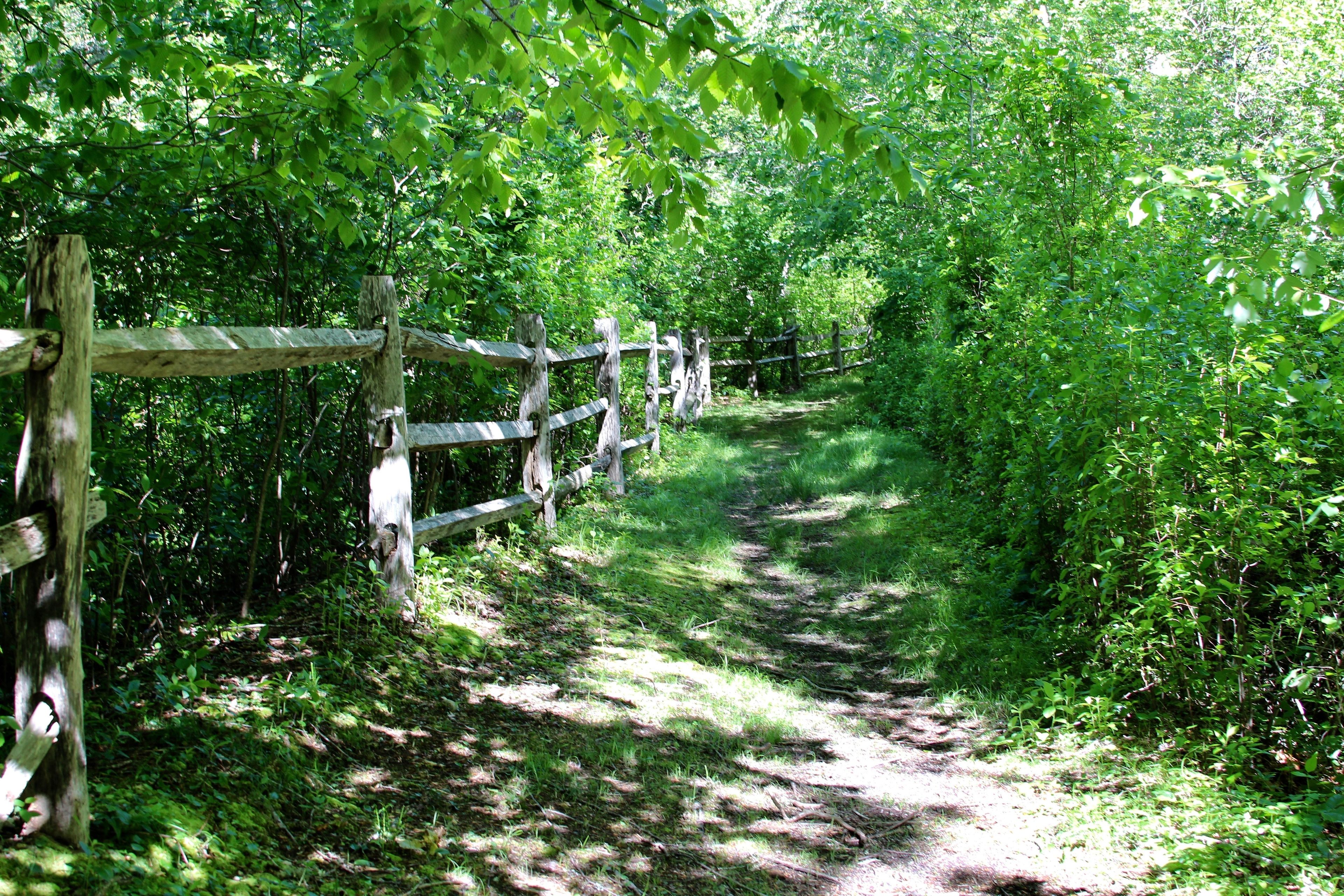 trail to Middle Road