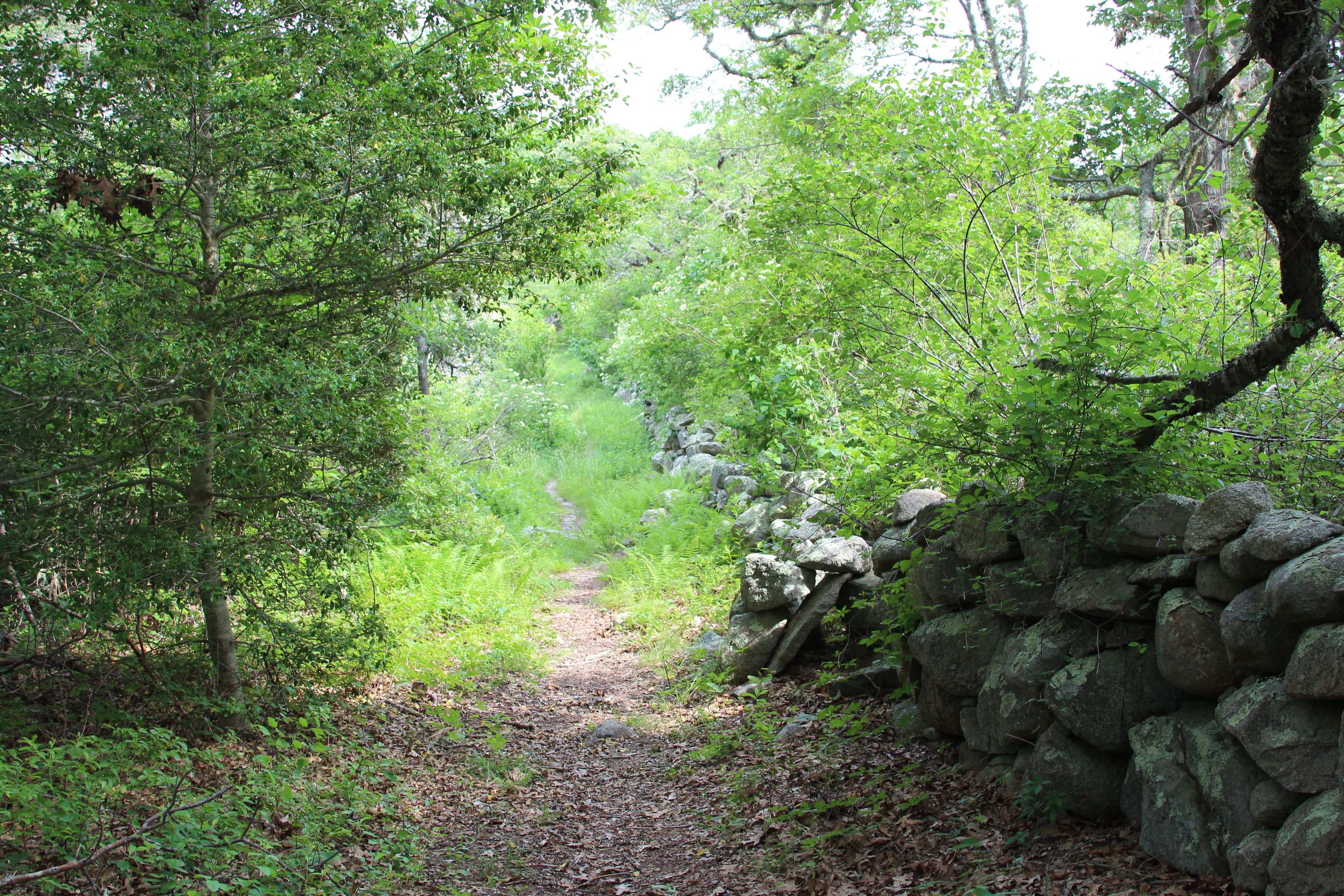 along stone wall