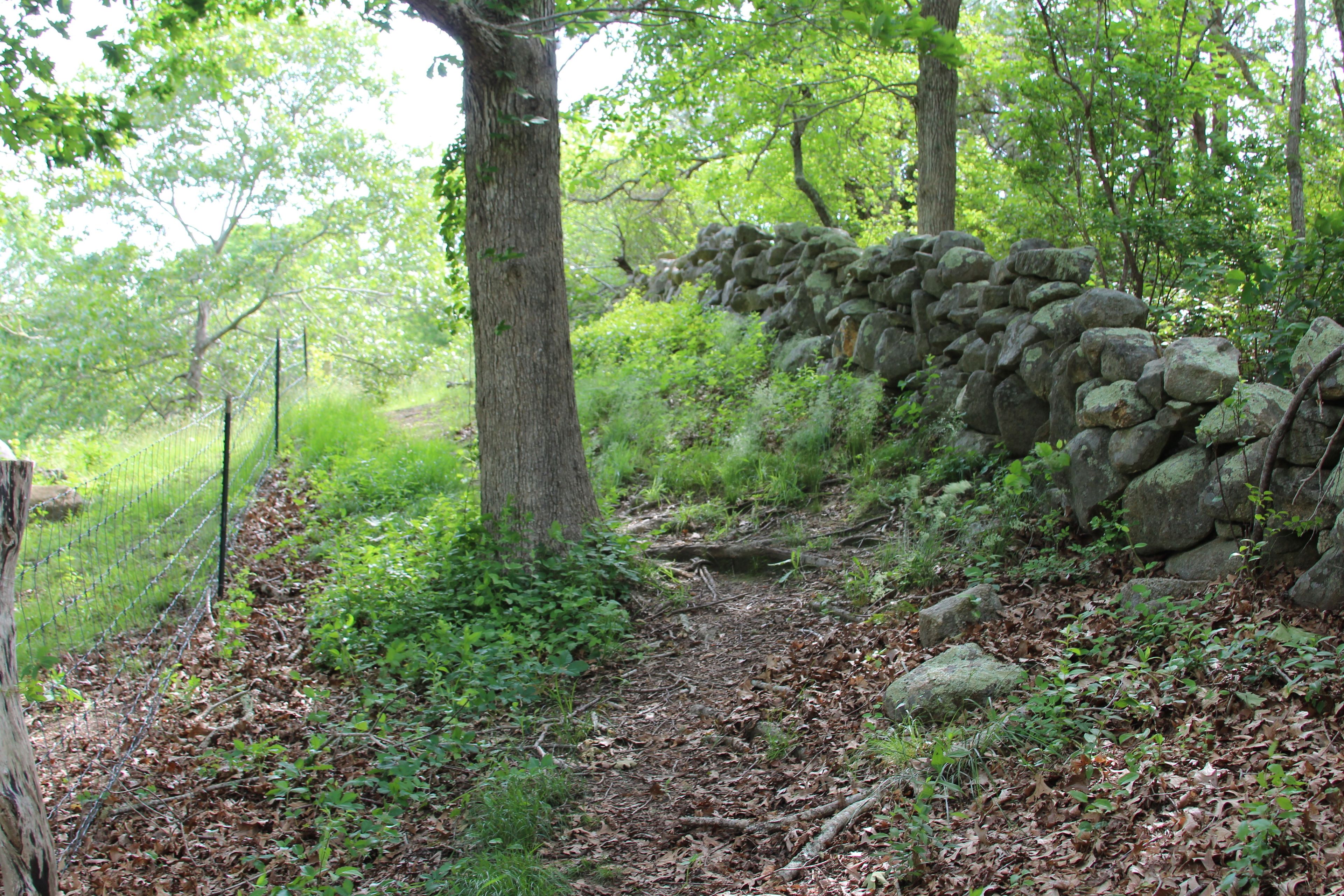 along stone wall