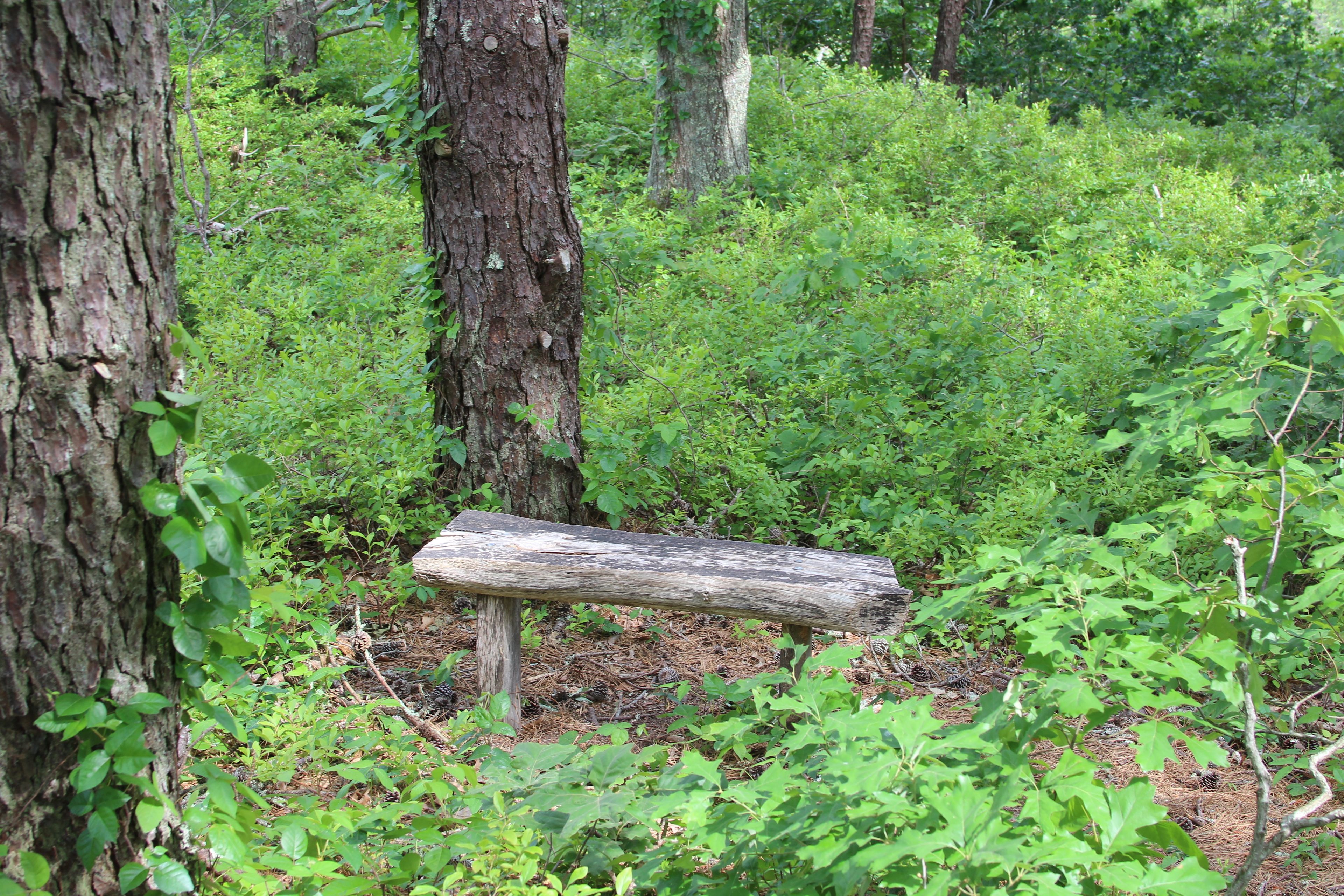 wooden bench