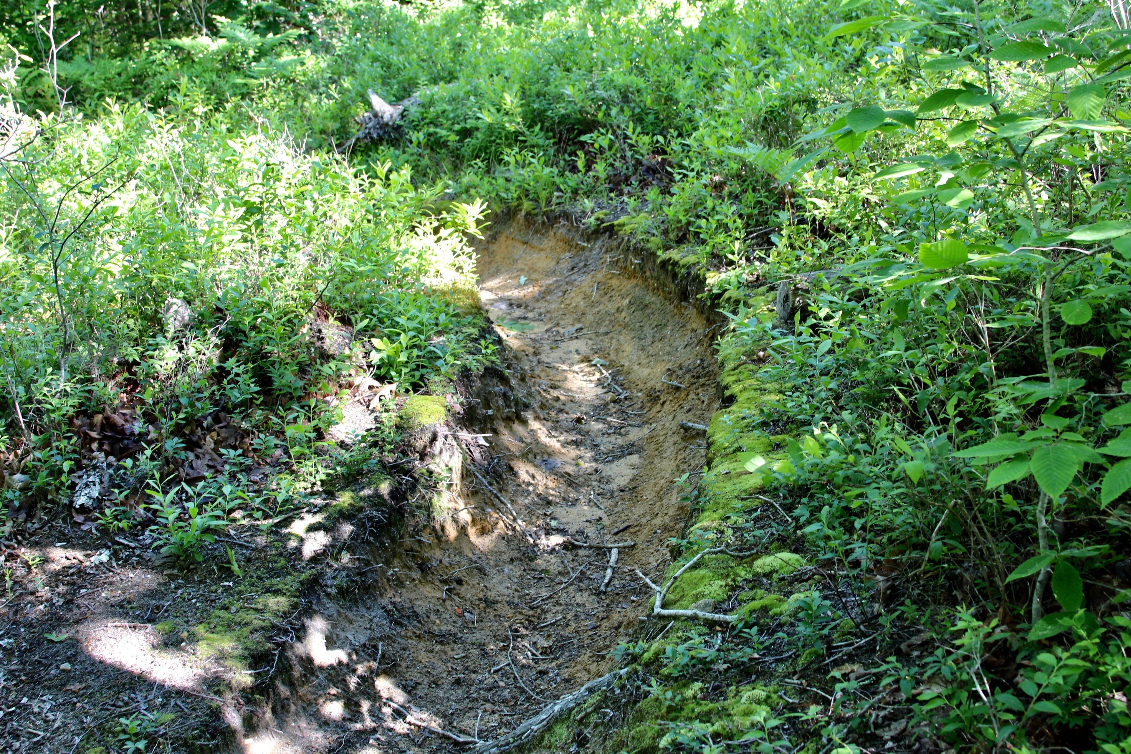 trough- like trail in parts