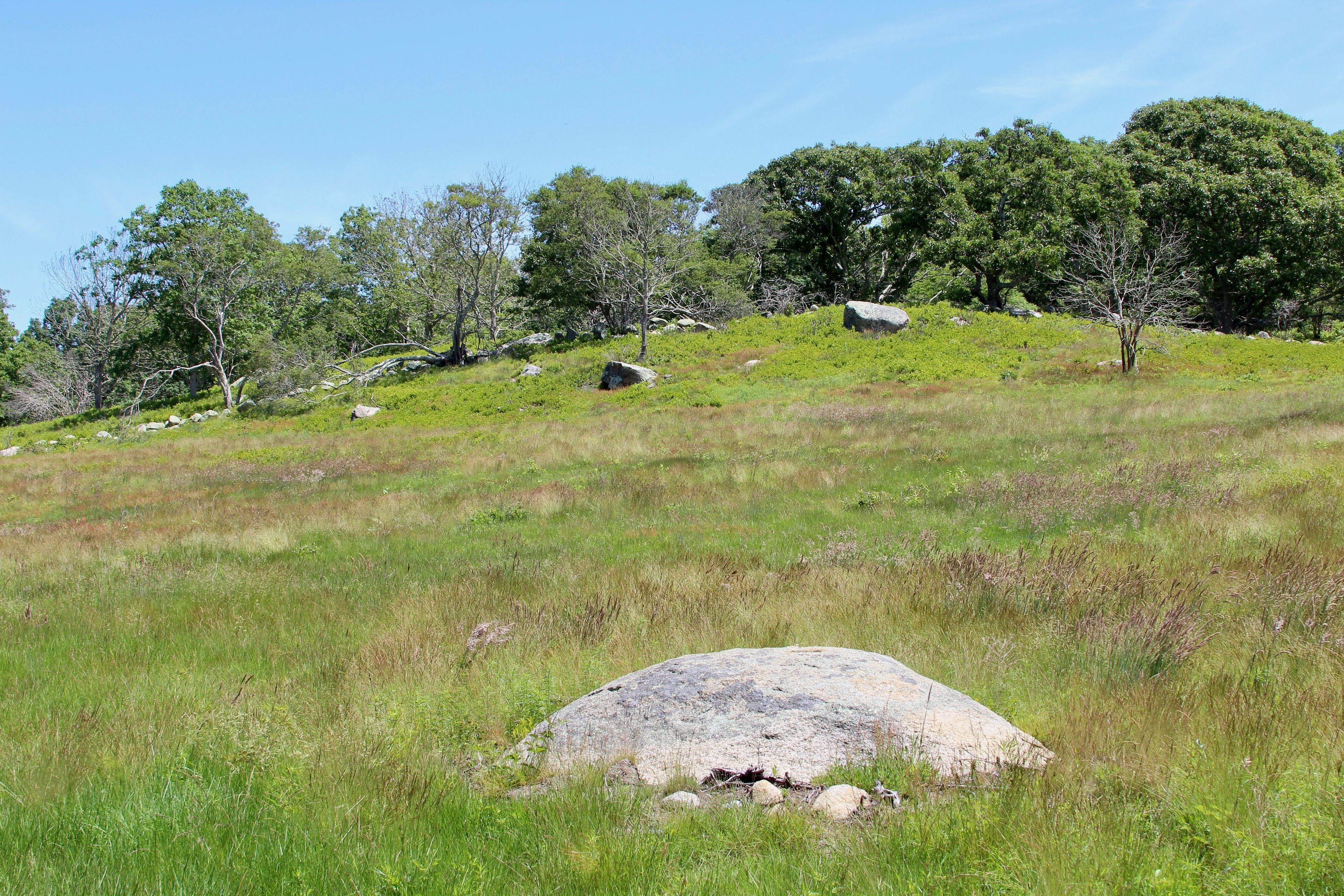 field view from trail