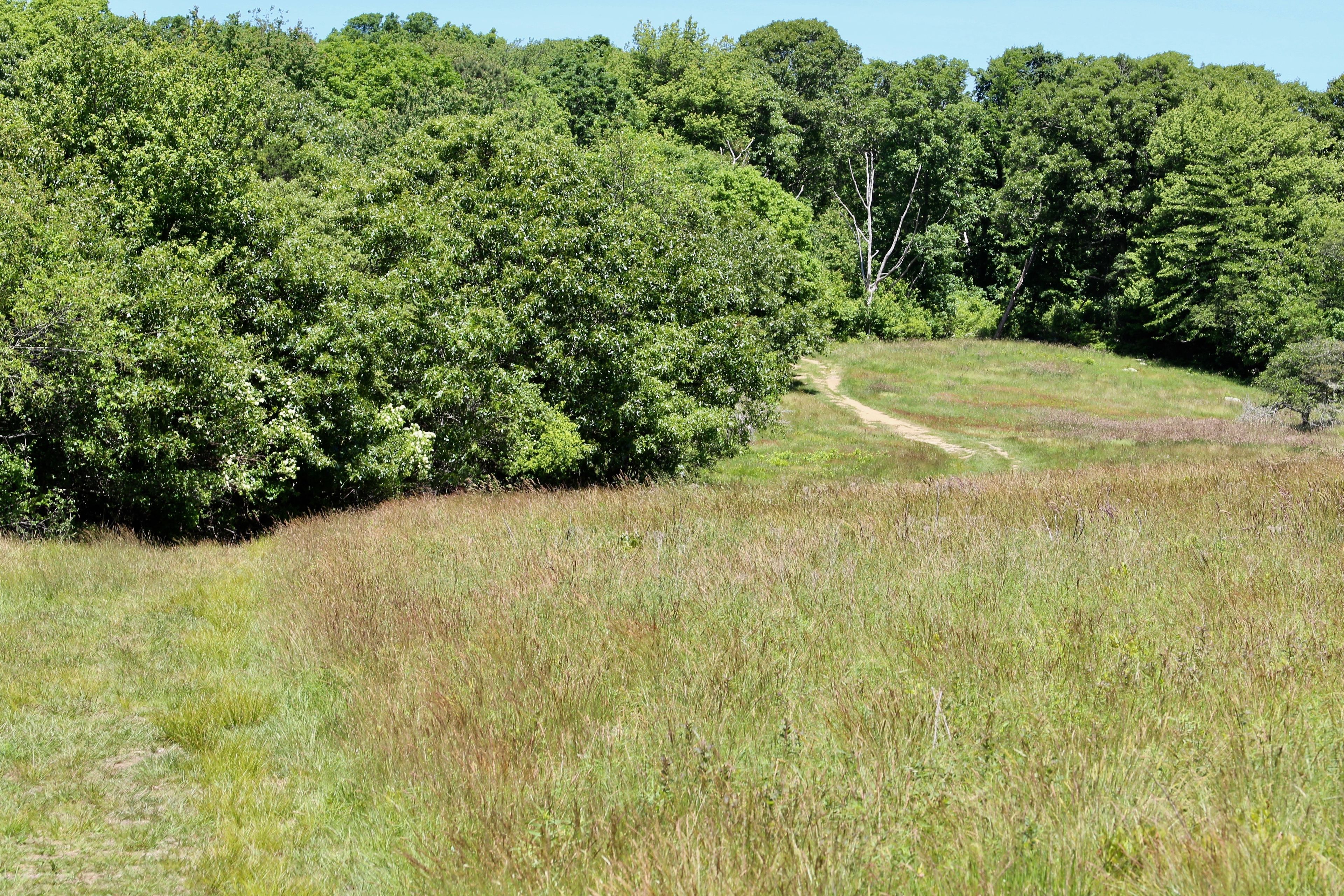 field path