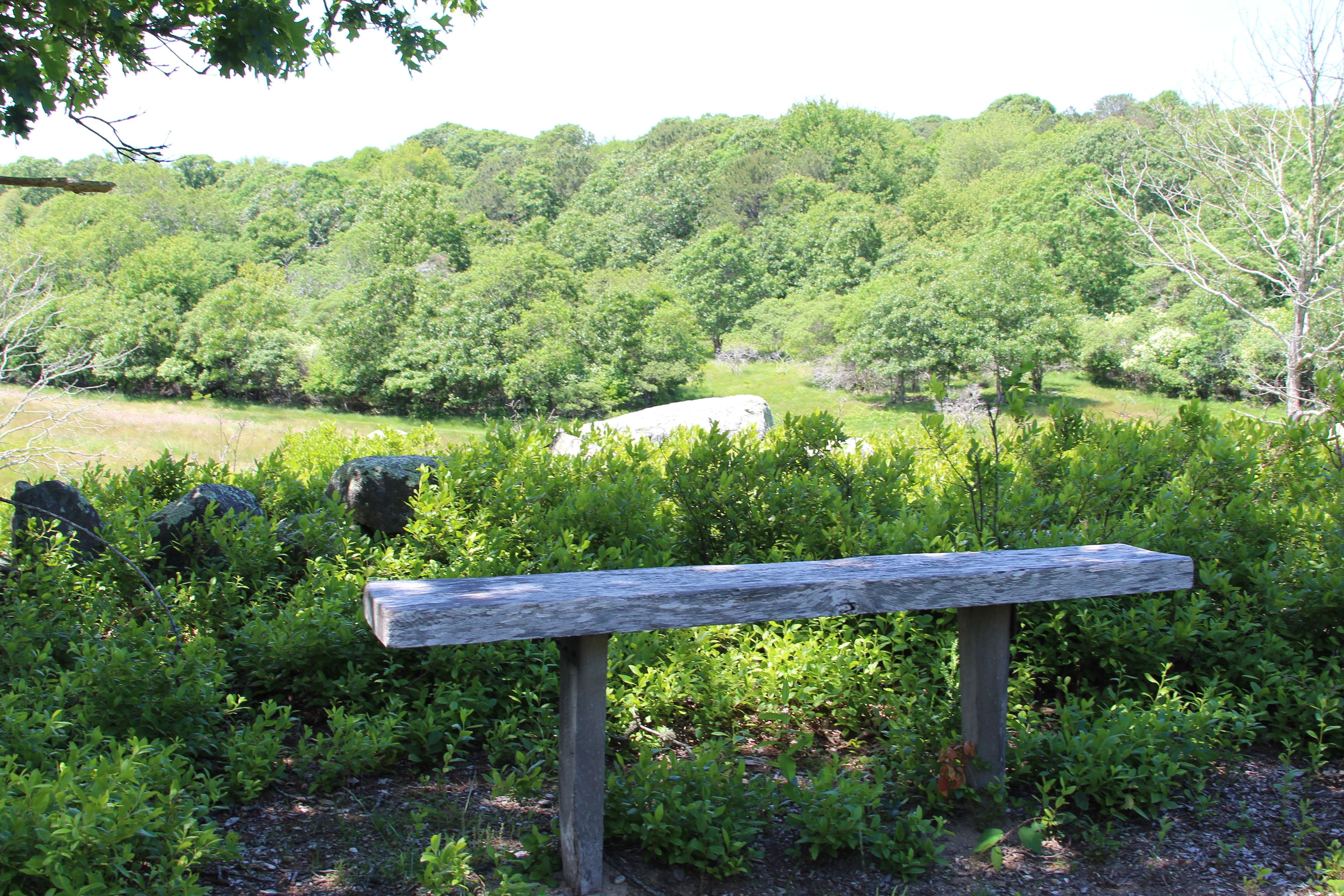 wooden bench