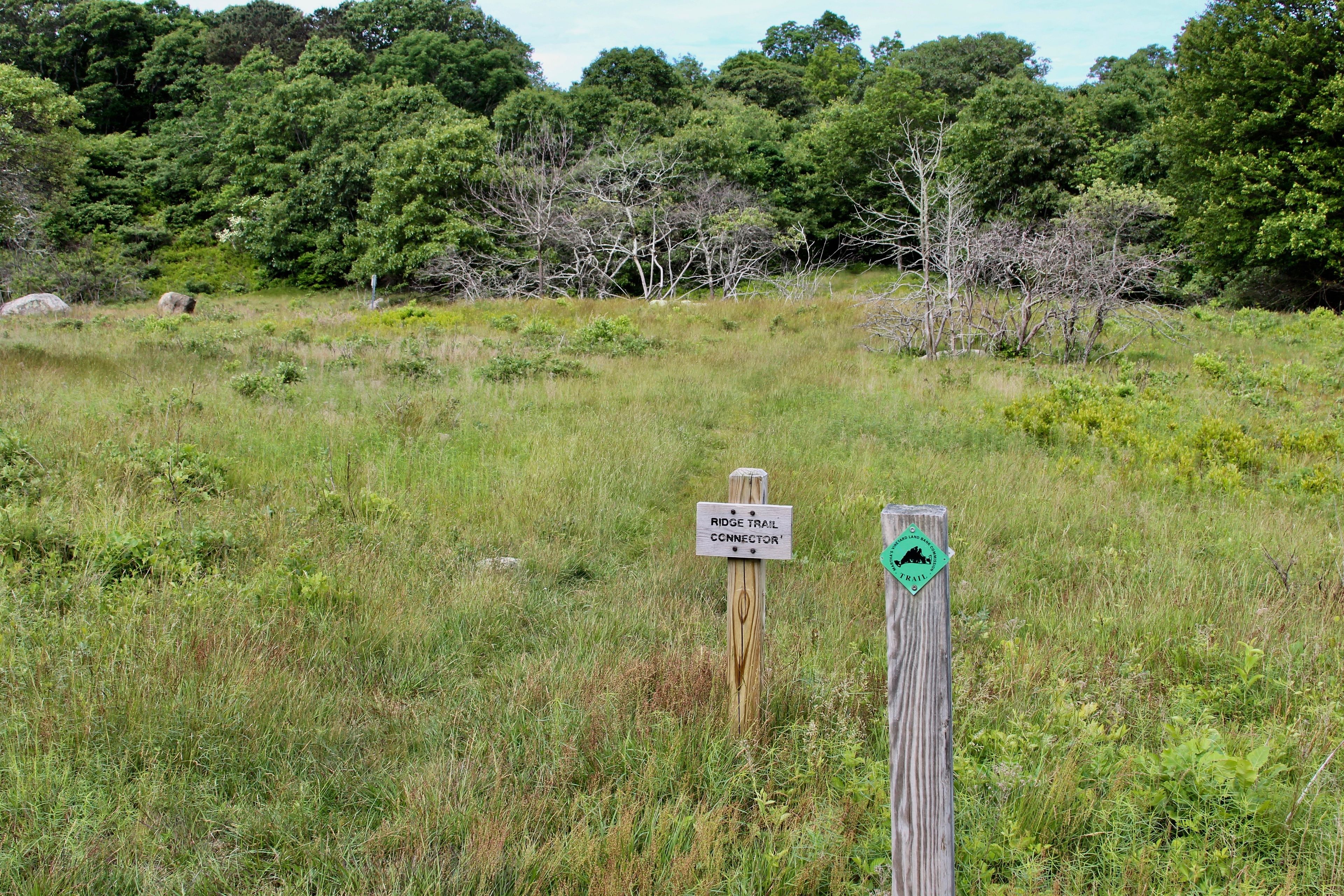 trail continues in field