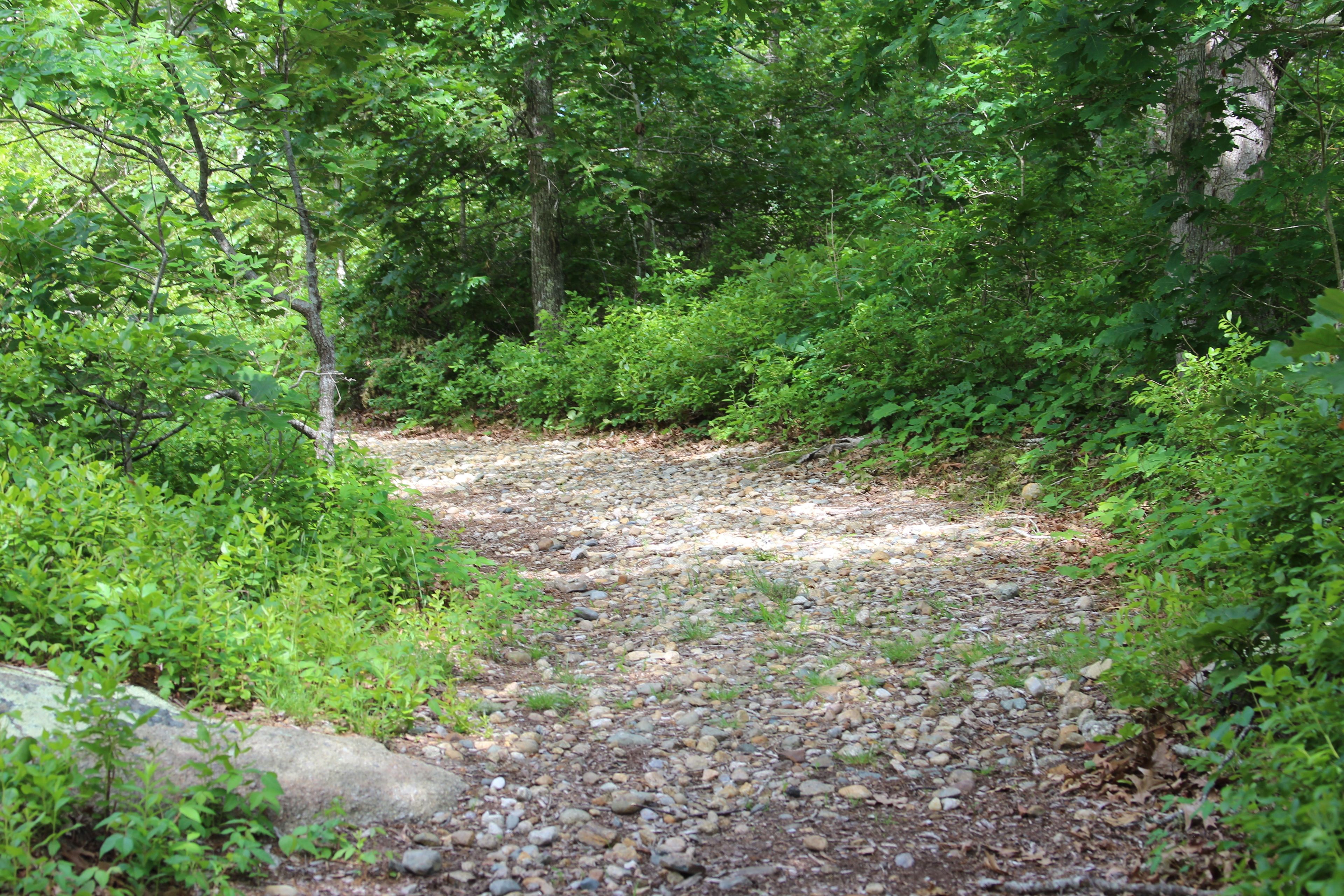 trail goes up and down