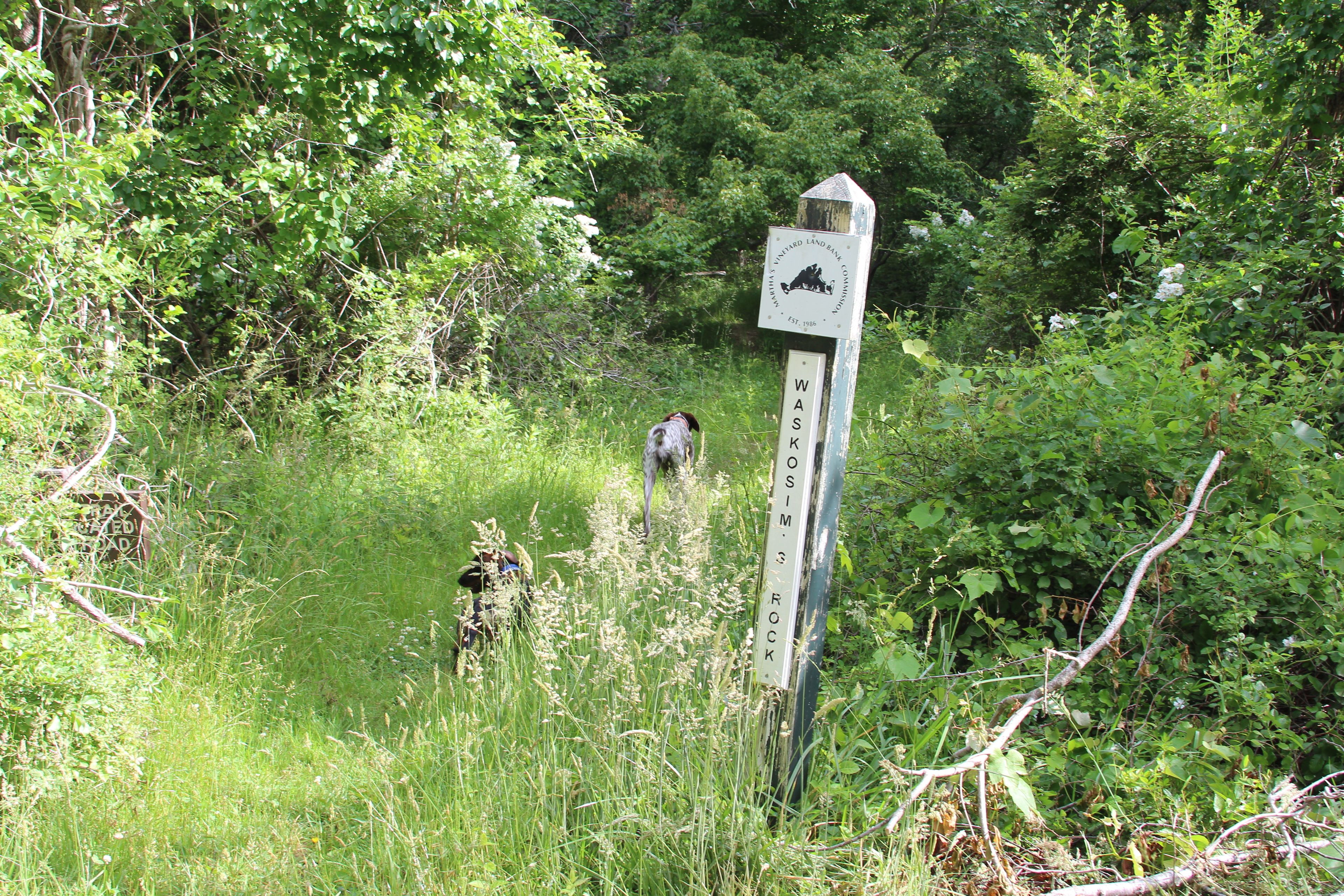 sign at Old Farm Road