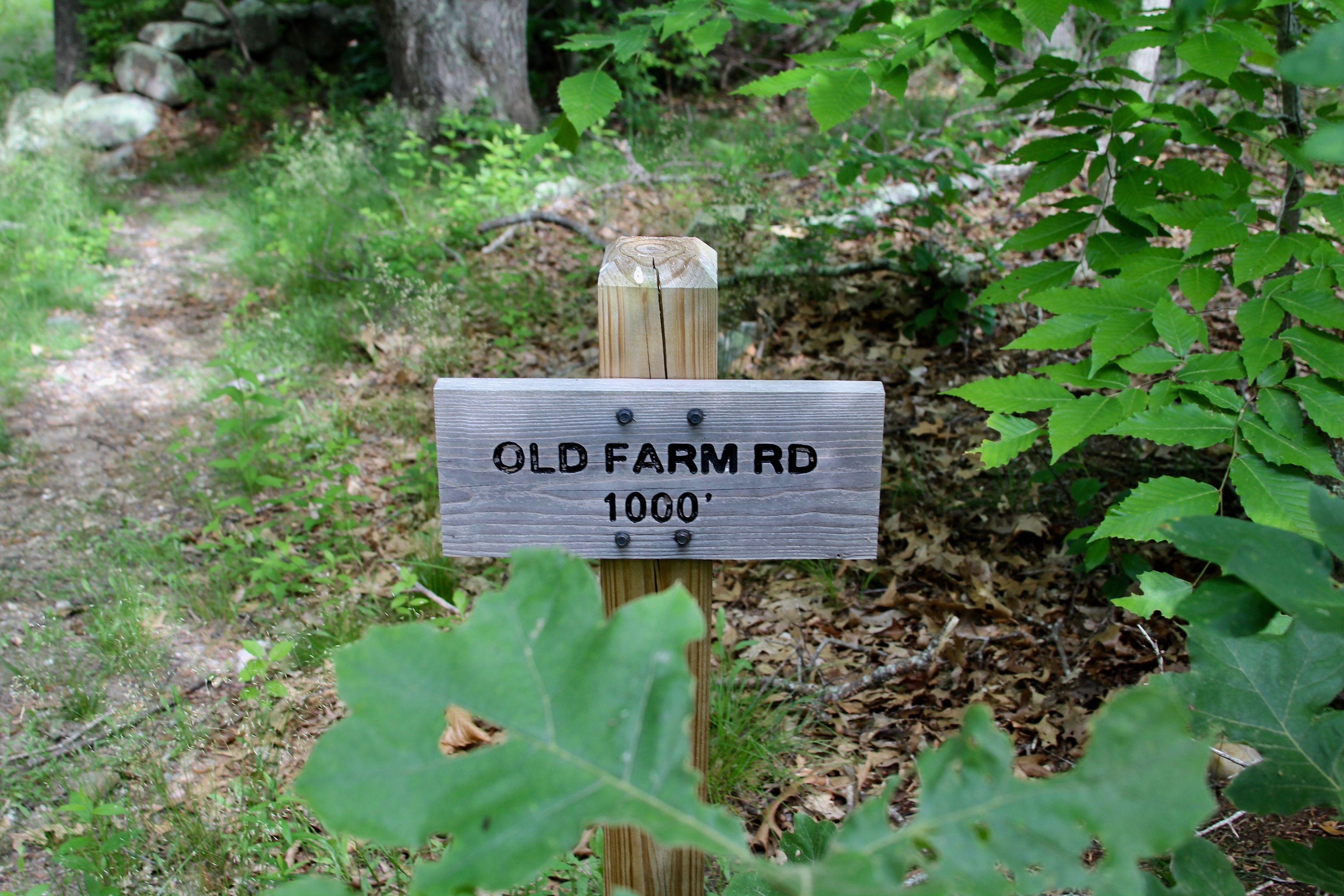 sign at intersection with Green (C-3) trail