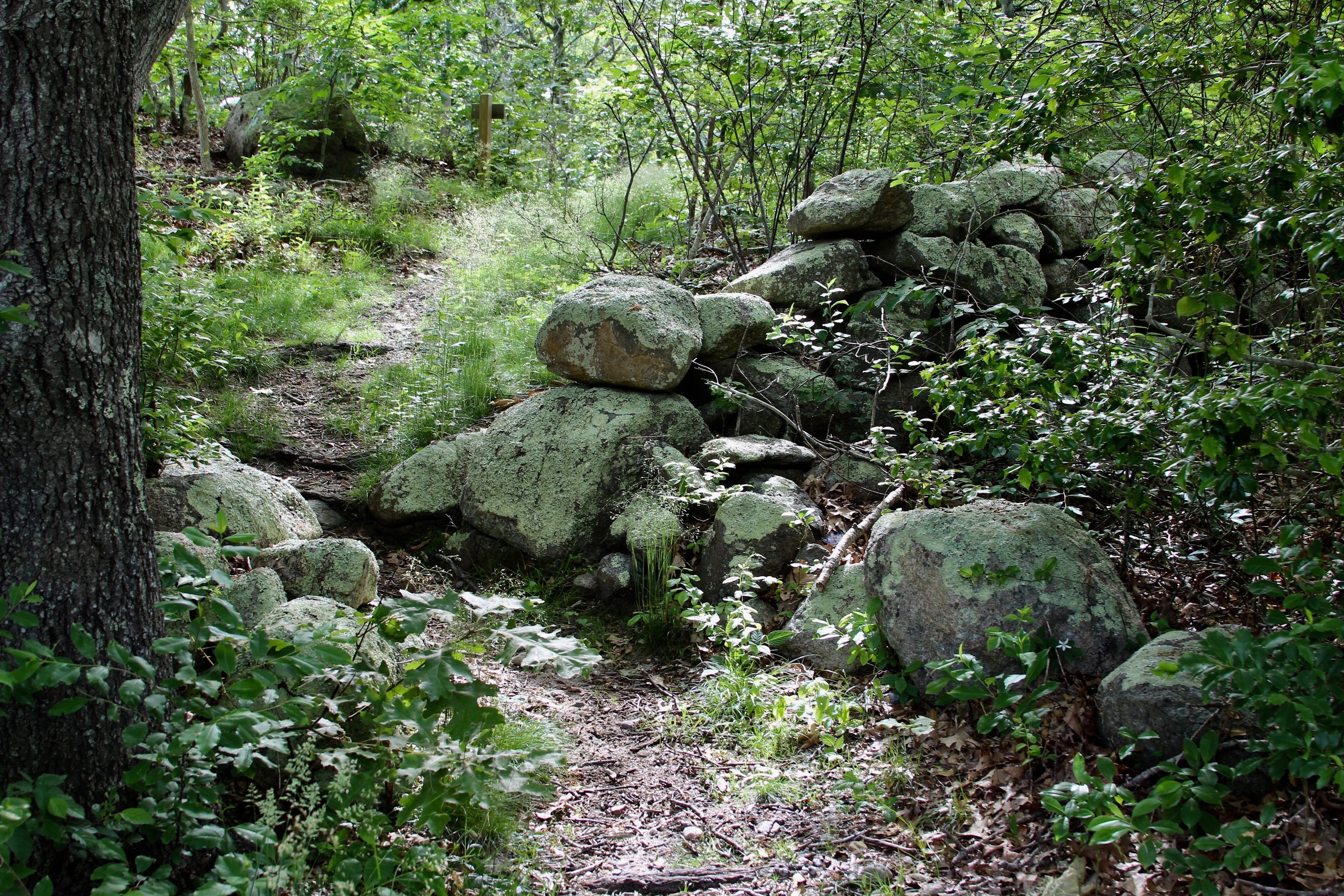 through stone wall