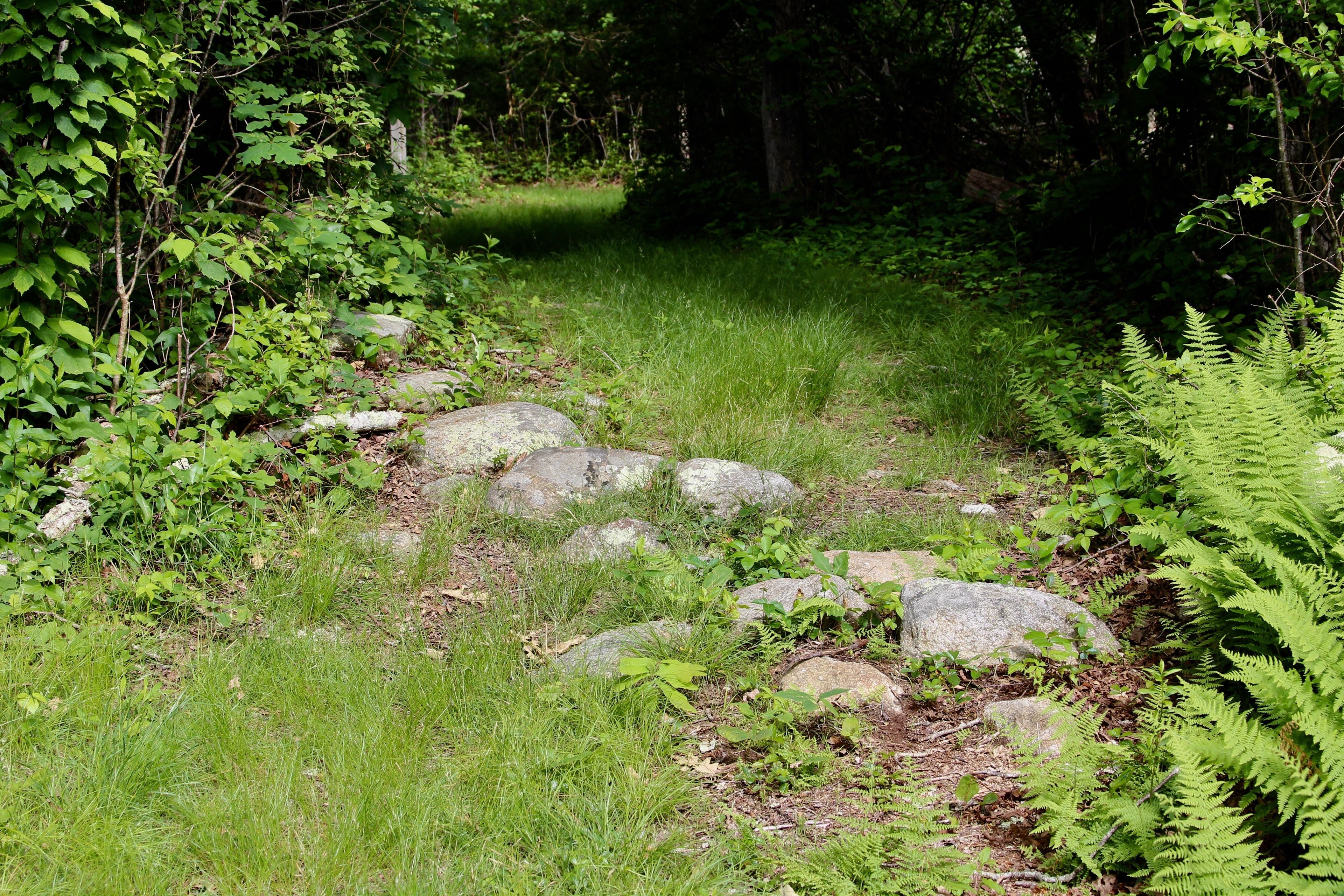 rocks along trail