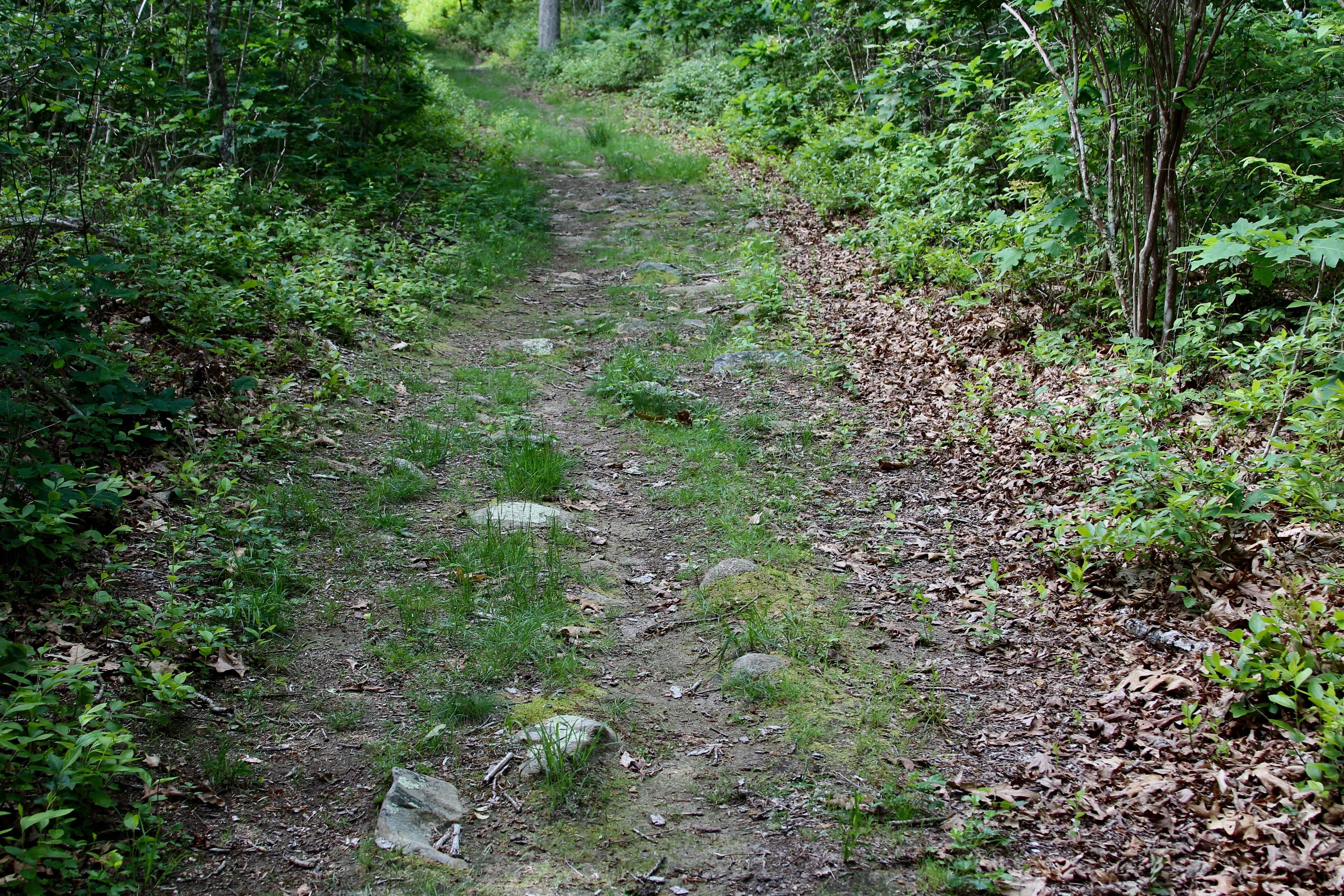 rocks along trail