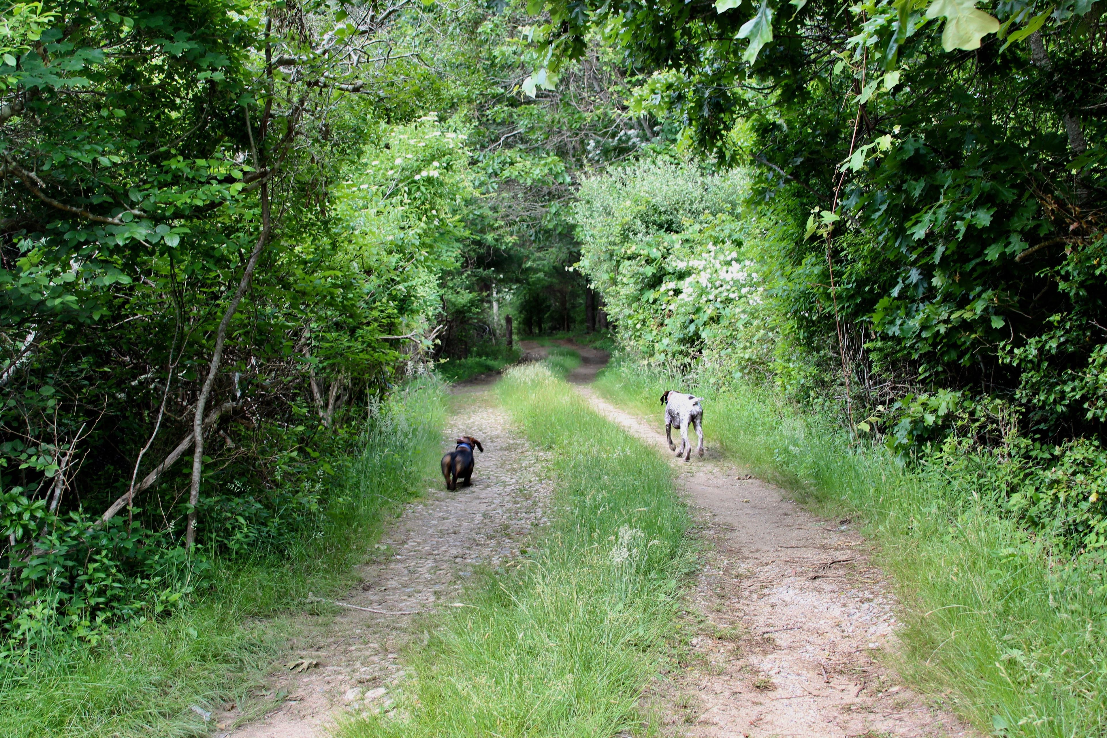 heading towards Mill Brook Road