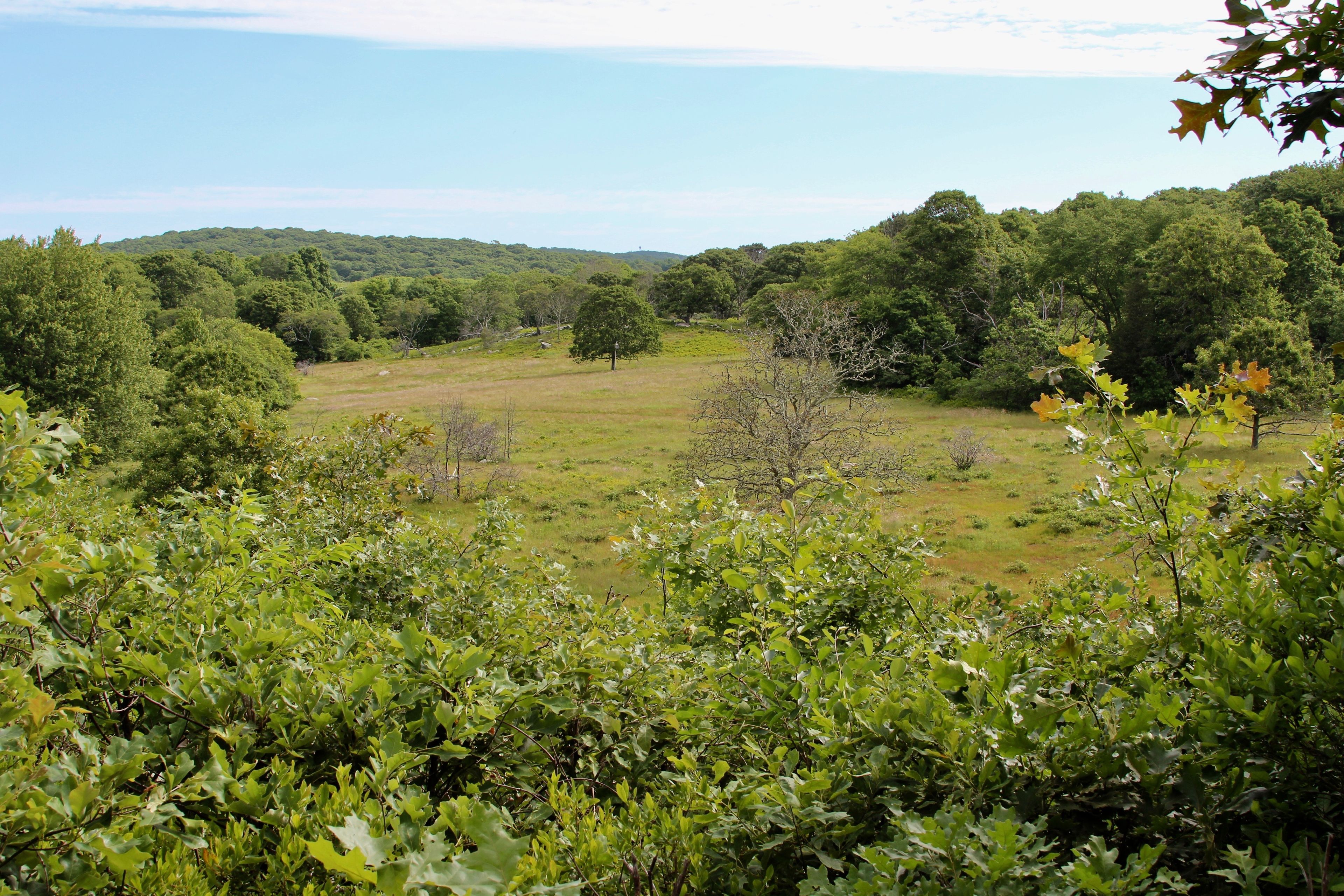 field view from overlook