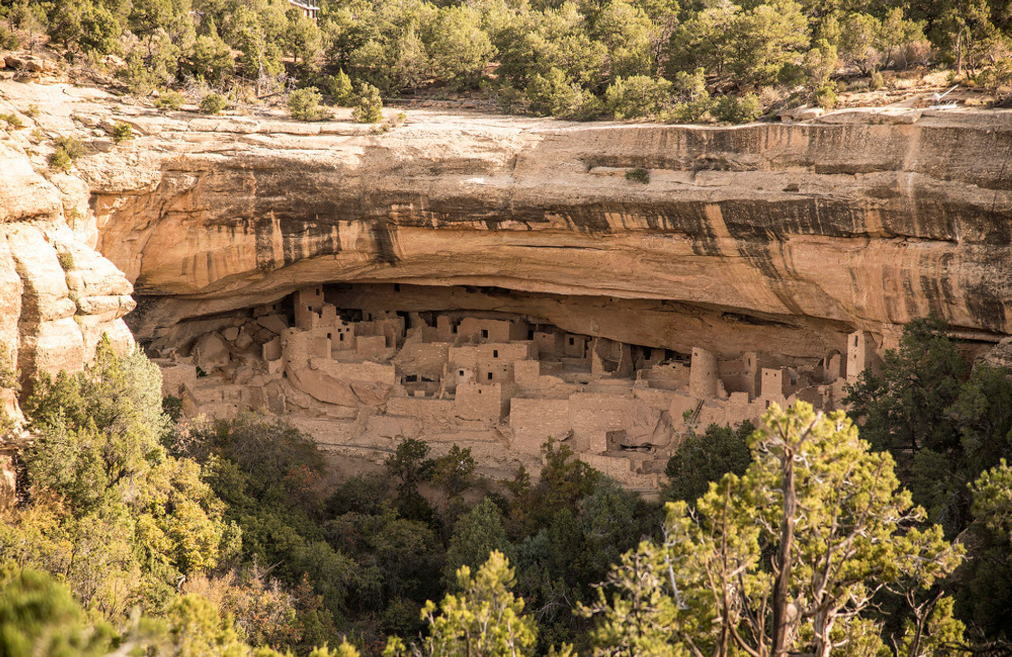 Cliff Palace, Mesa Verde's largest cliff dwelling as viewed from across the canyon at Sun Temple.