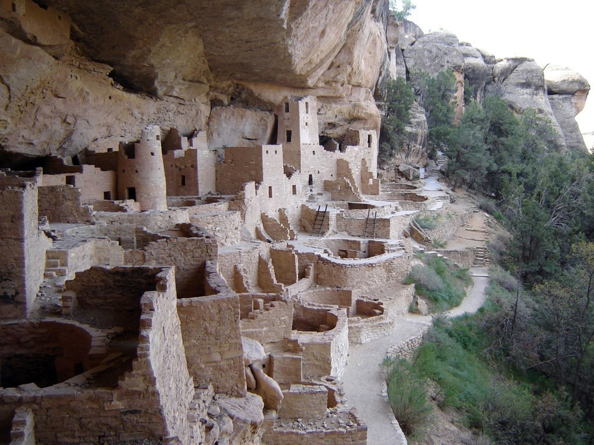 View of Cliff Palace, Mesa Verde's largest cliff dwelling, from above.