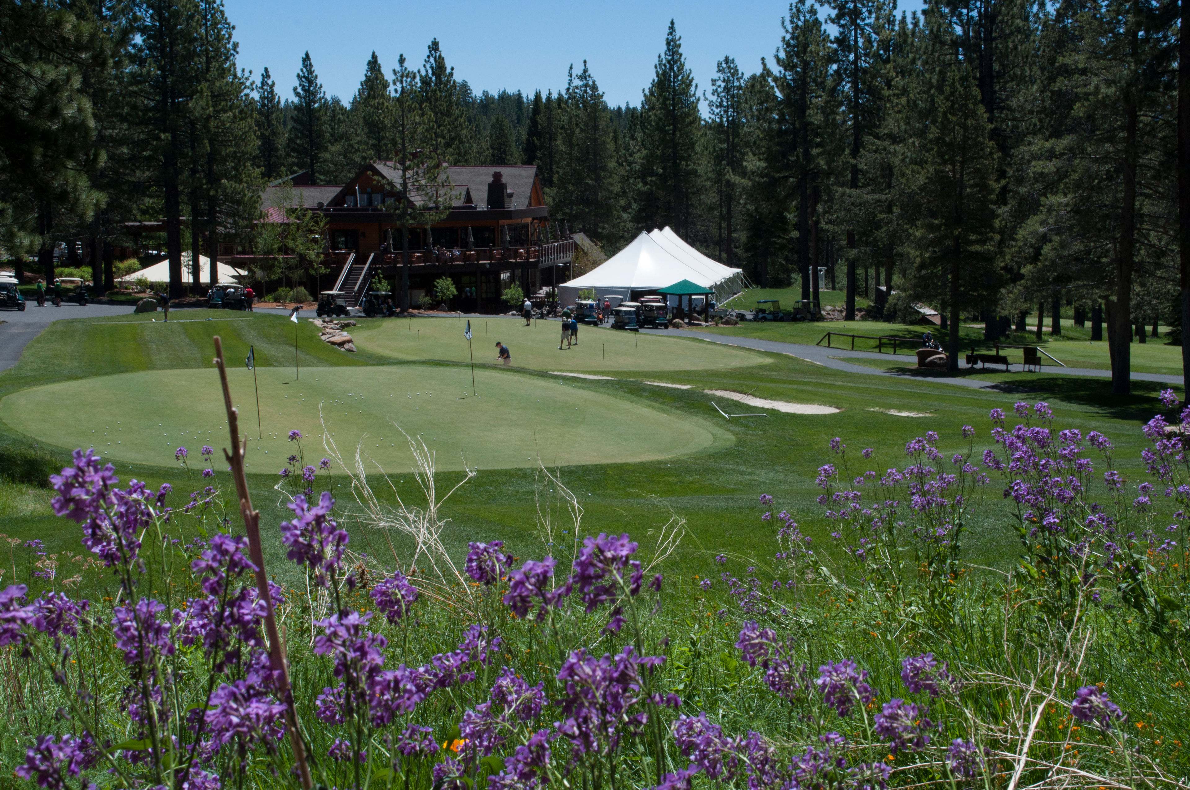 Golf_WildFlowers_Astetz_June2014_012.jpg