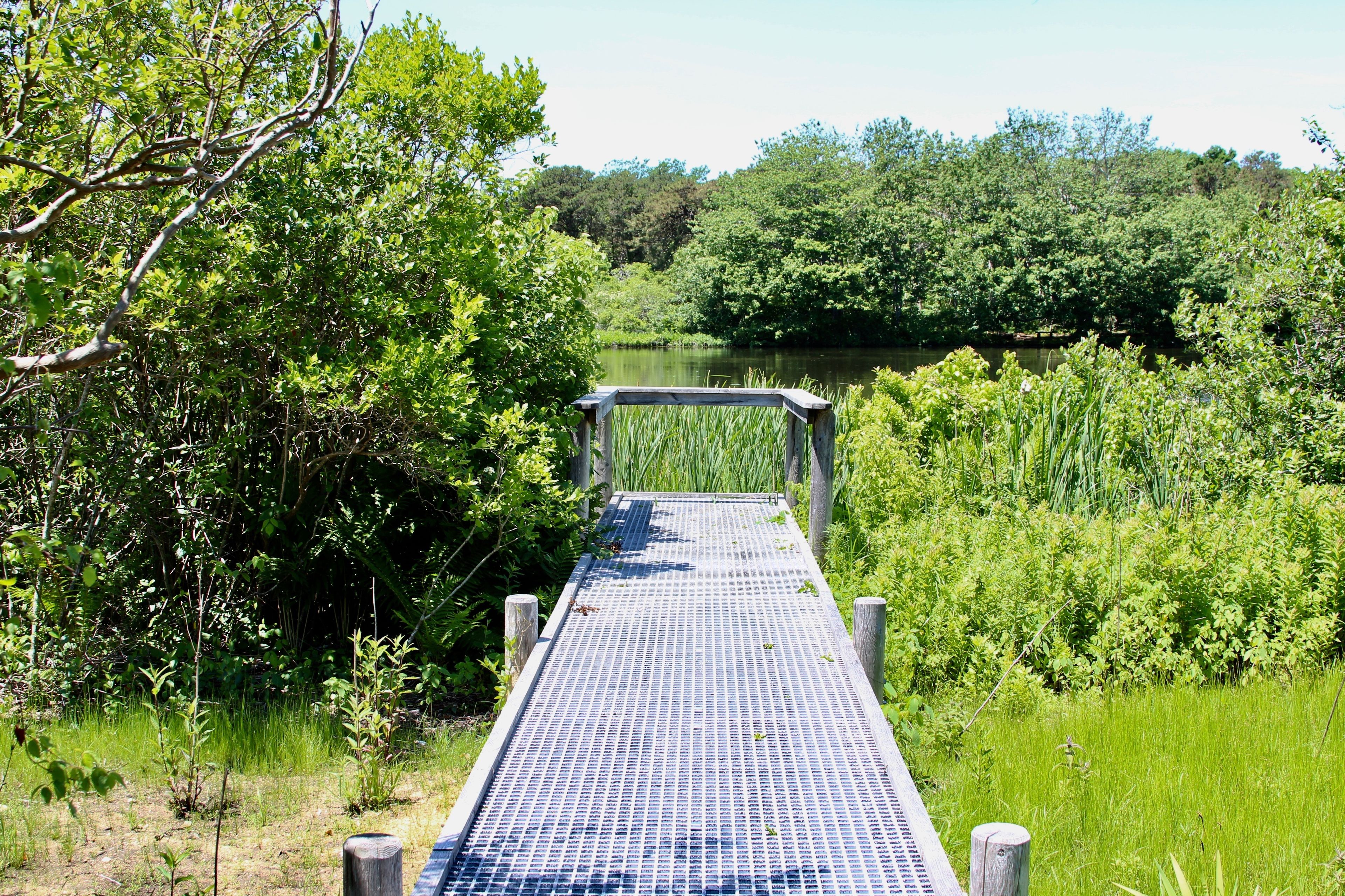 viewing platform