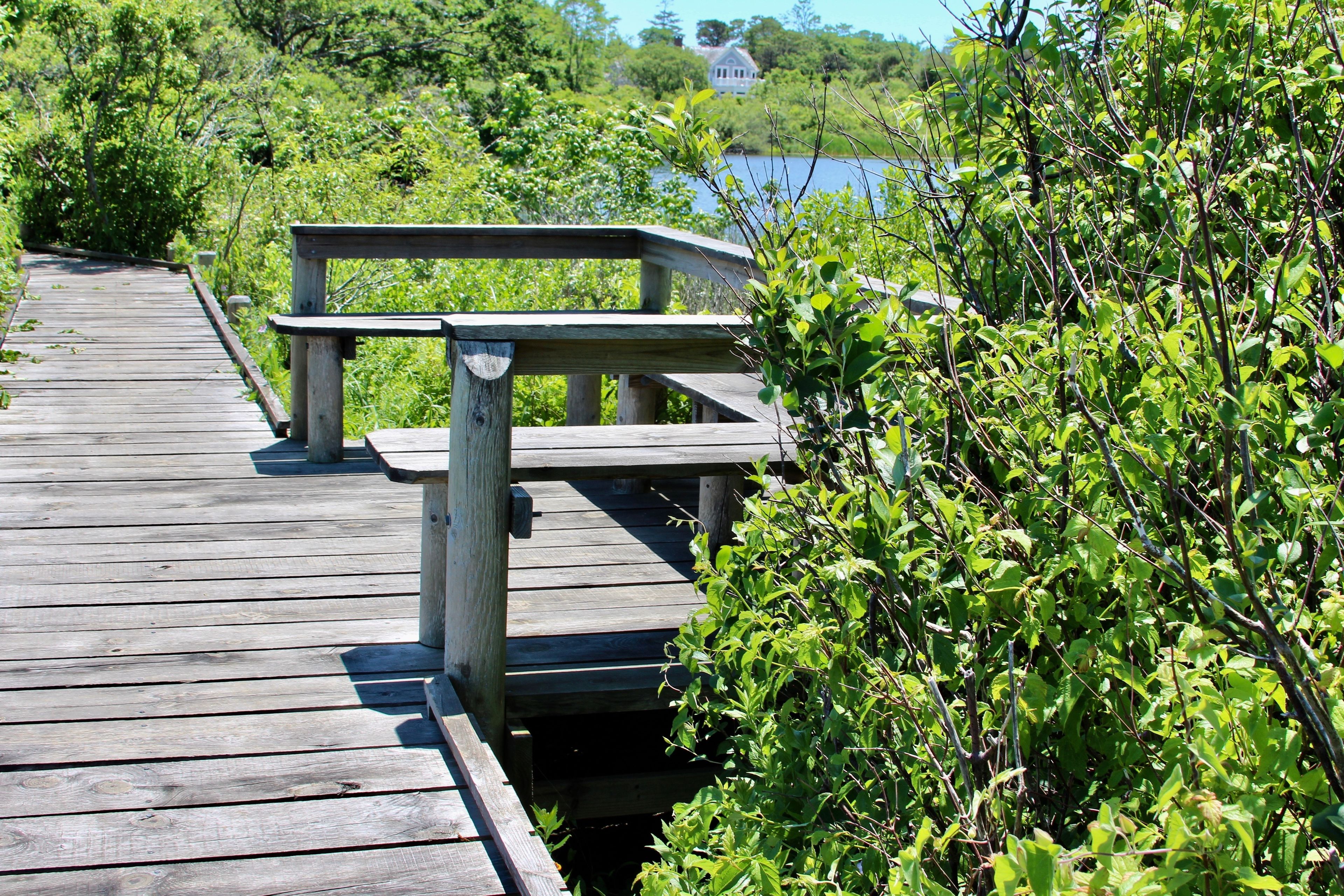 bench overlooking view