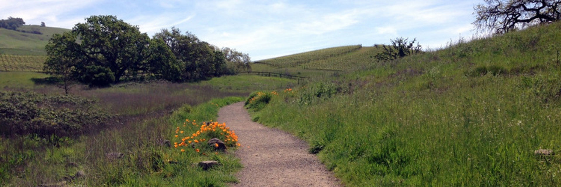 crane-creek-trail-flowers.jpeg